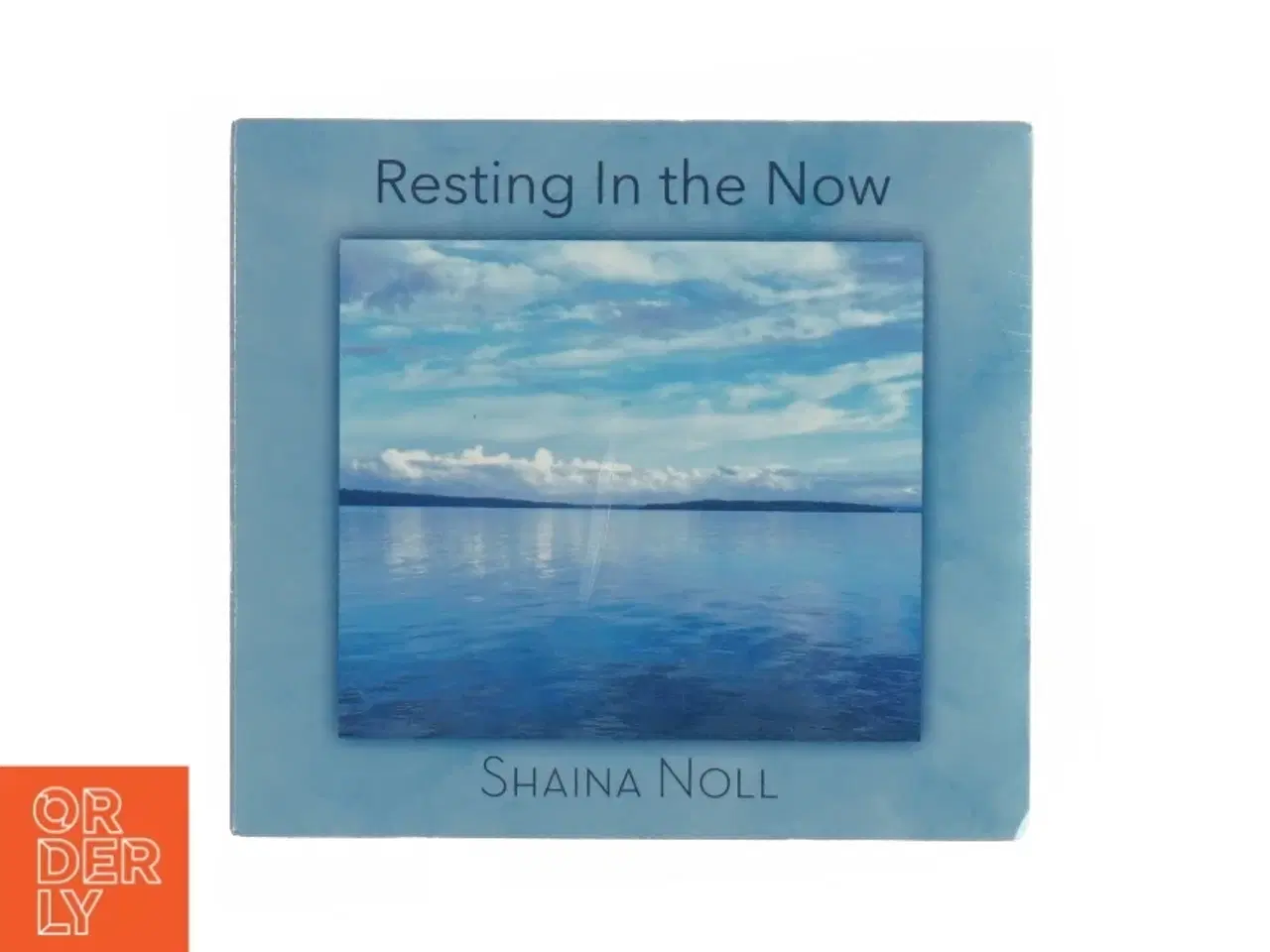 Billede 1 - Resting in the now cd