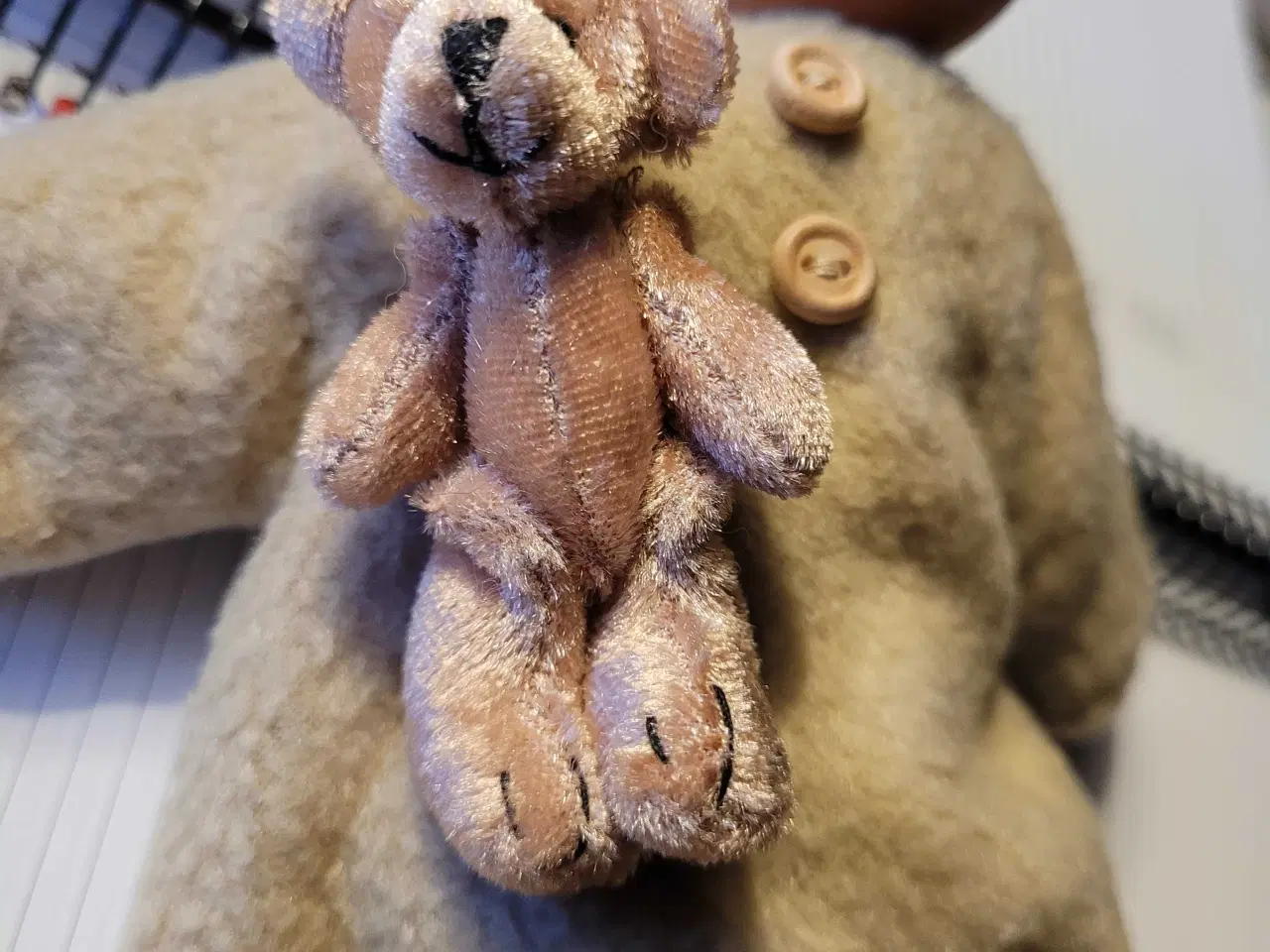 Billede 3 - Slaskkenisse  Valdermar.