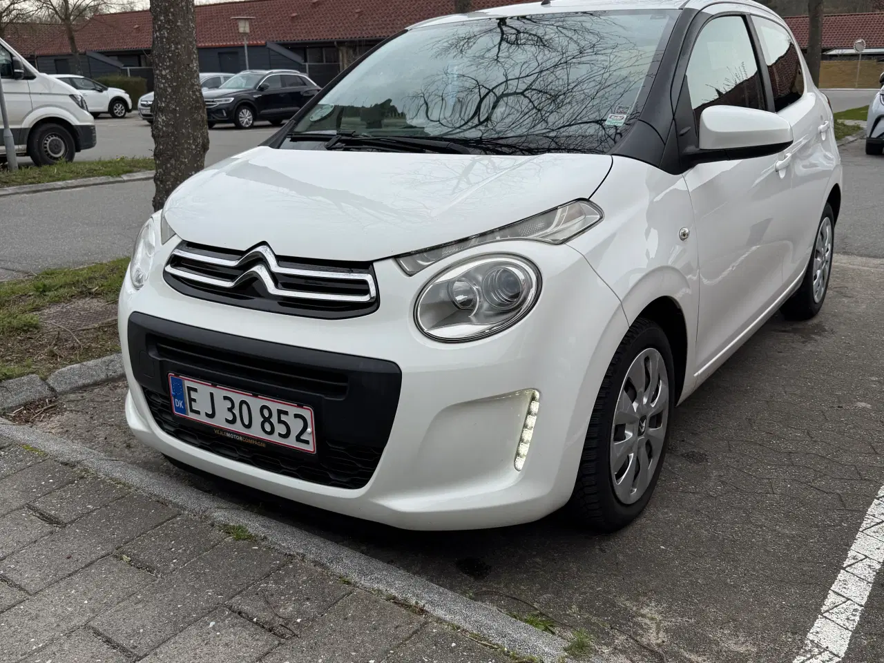 Billede 1 - Økonomisk C1’er, Nysynet 