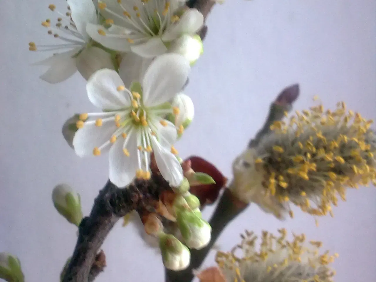 Billede 12 - Påske broderi bordløber tyvstart & hyacint glas