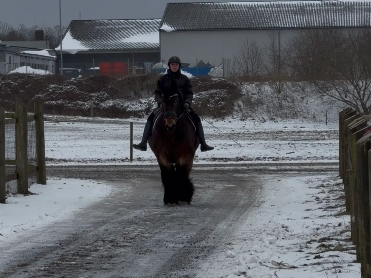 Billede 3 - Elev/ridefys emne