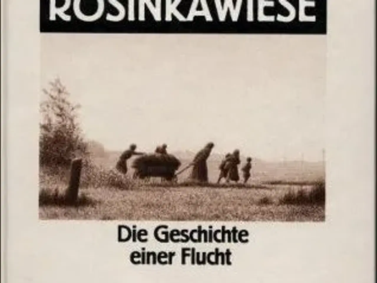 Billede 1 - Fern von der Rosinkawiese