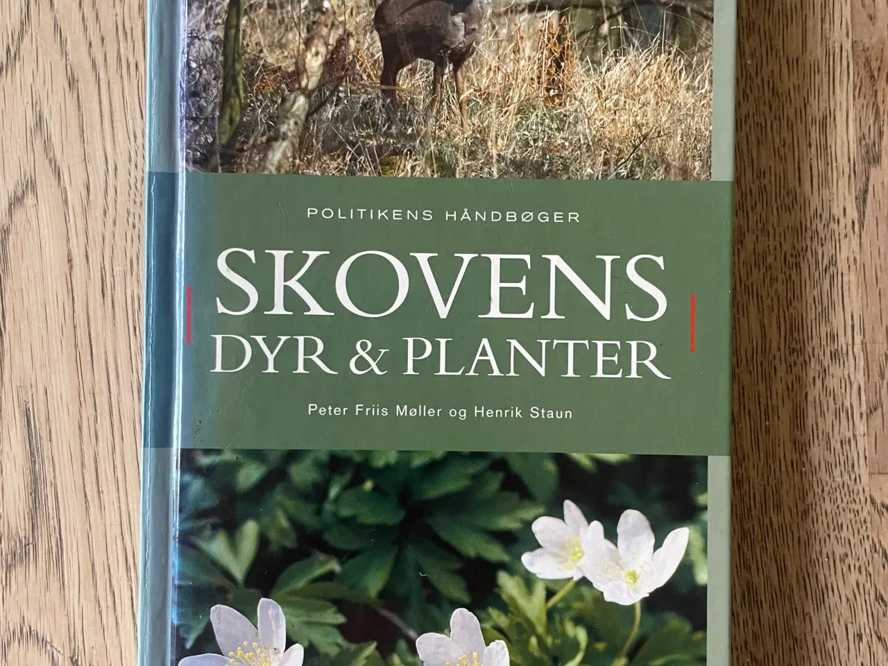 Billede 1 - Skovens dyr & planter, Peter Friis Møller m.fl.