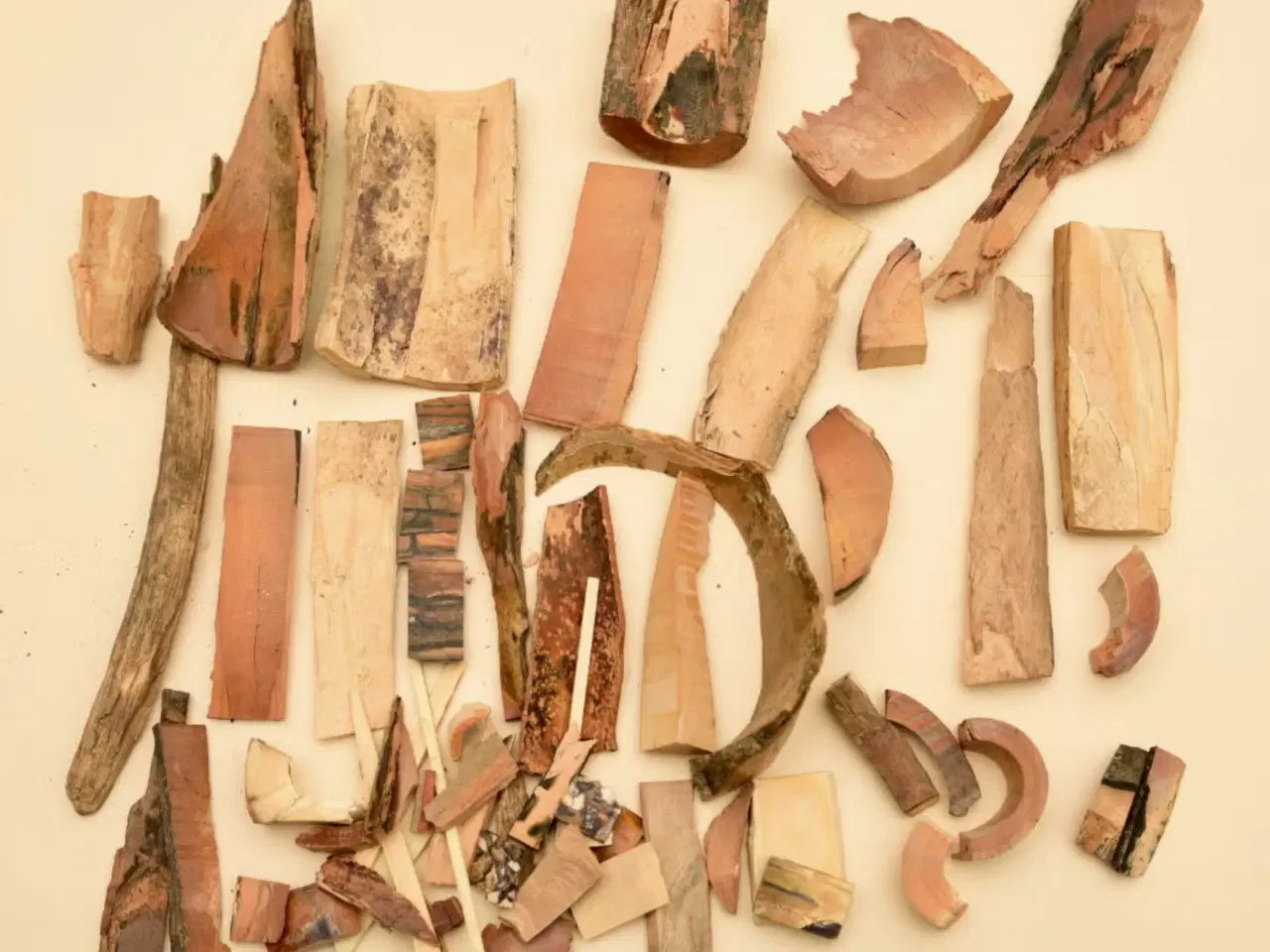 Billede 1 - Stort lot mammut stødtand