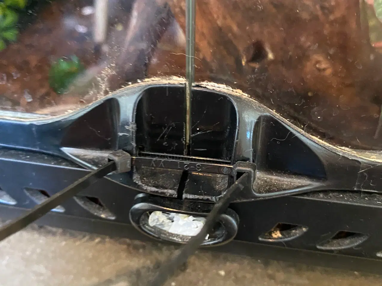 Billede 2 - 2 kronegekkoer, samt deres terrarium, med tilbehør