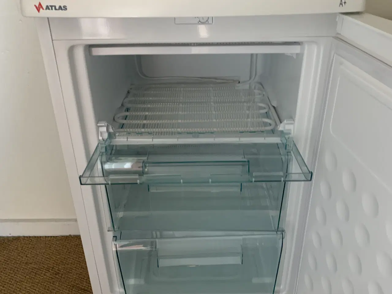 Billede 5 - Lille Skabsfryser