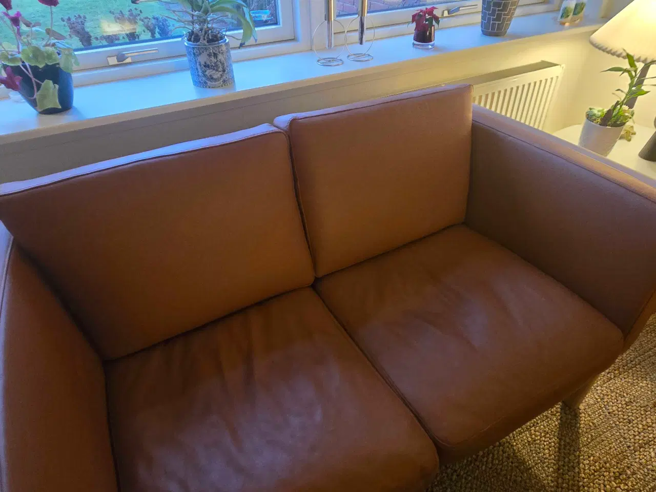 Billede 5 - 2 og 3 personers Cognac lædersofa 