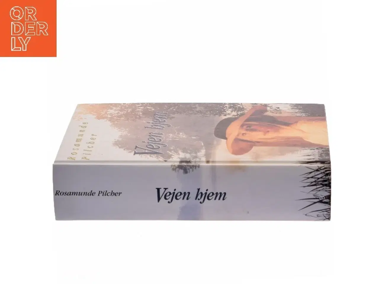 Billede 2 - Vejen hjem af Rosamunde Pilcher (Bog)