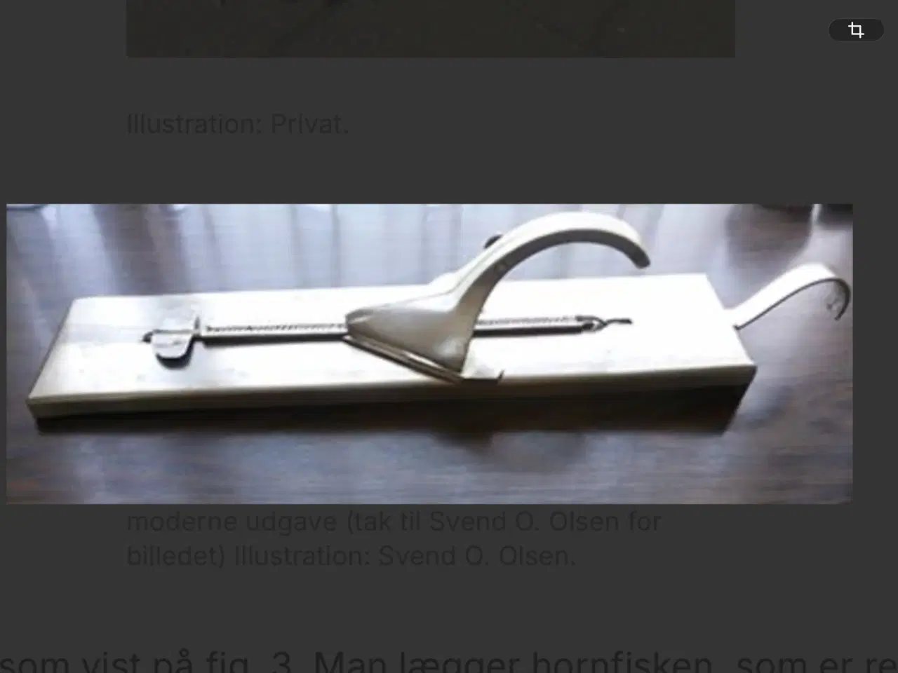 Billede 3 - KØBES 1 STK HORNFISK UDBENER JERN I RUSTFRIT STÅL 