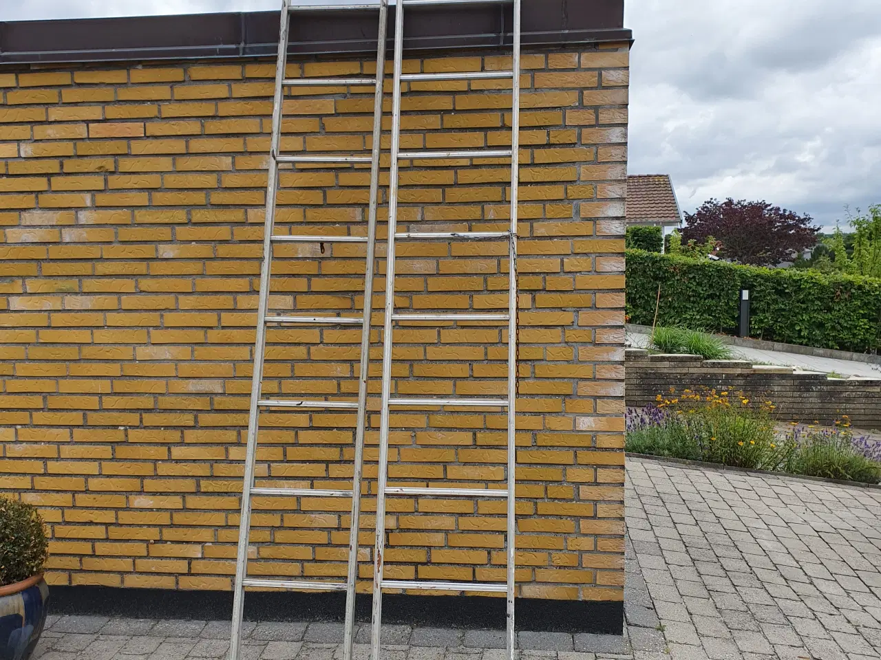 Billede 1 - Alu stige med 11 trin 2 delt.