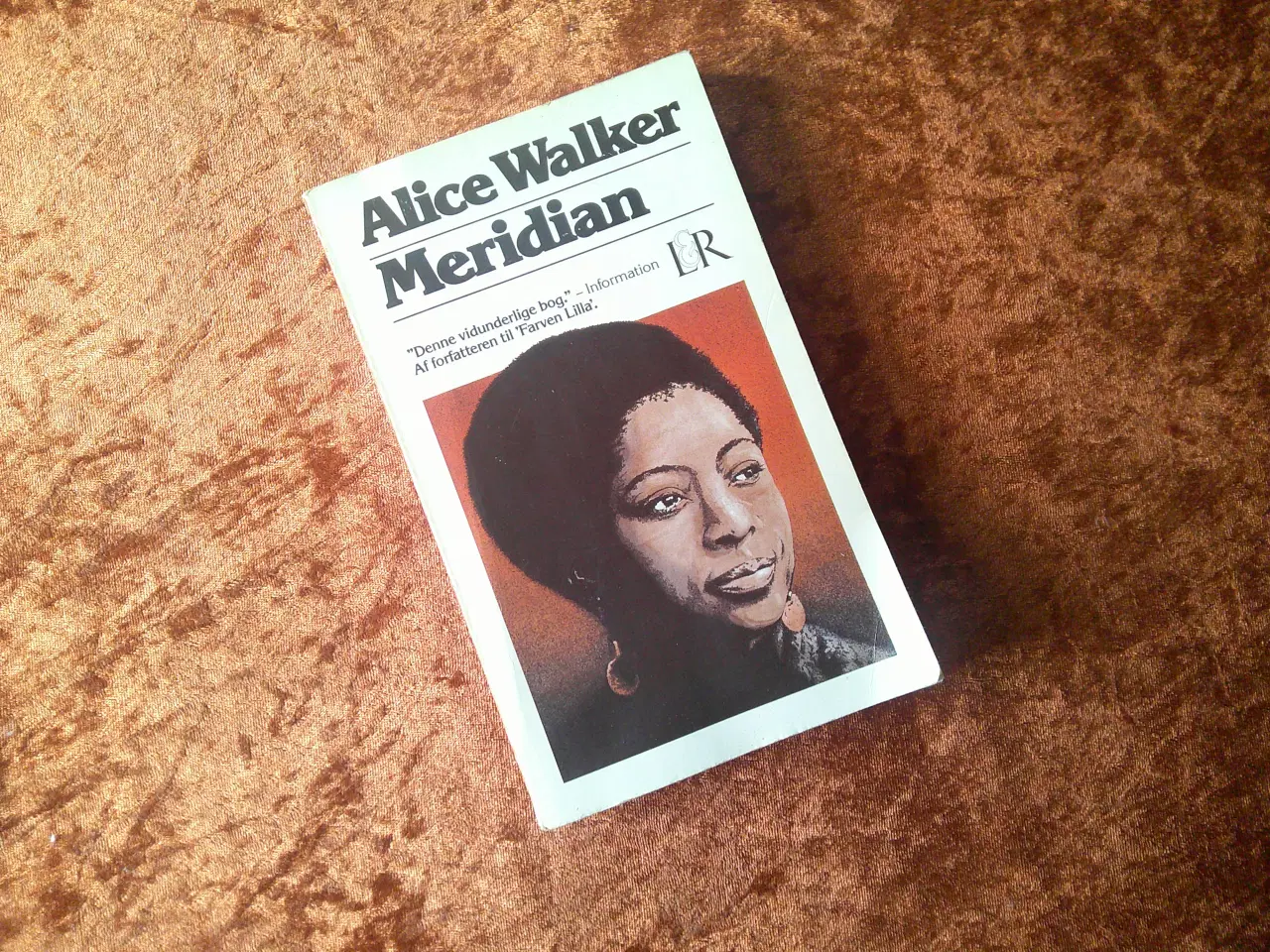 Billede 1 - Meridian, Alice Walker,