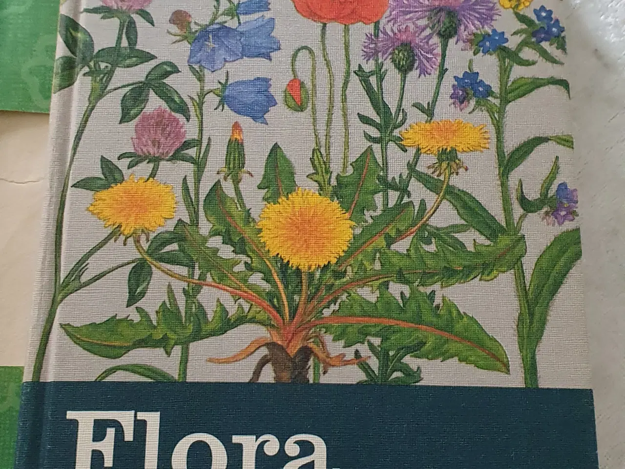 Billede 1 - Flora i farver