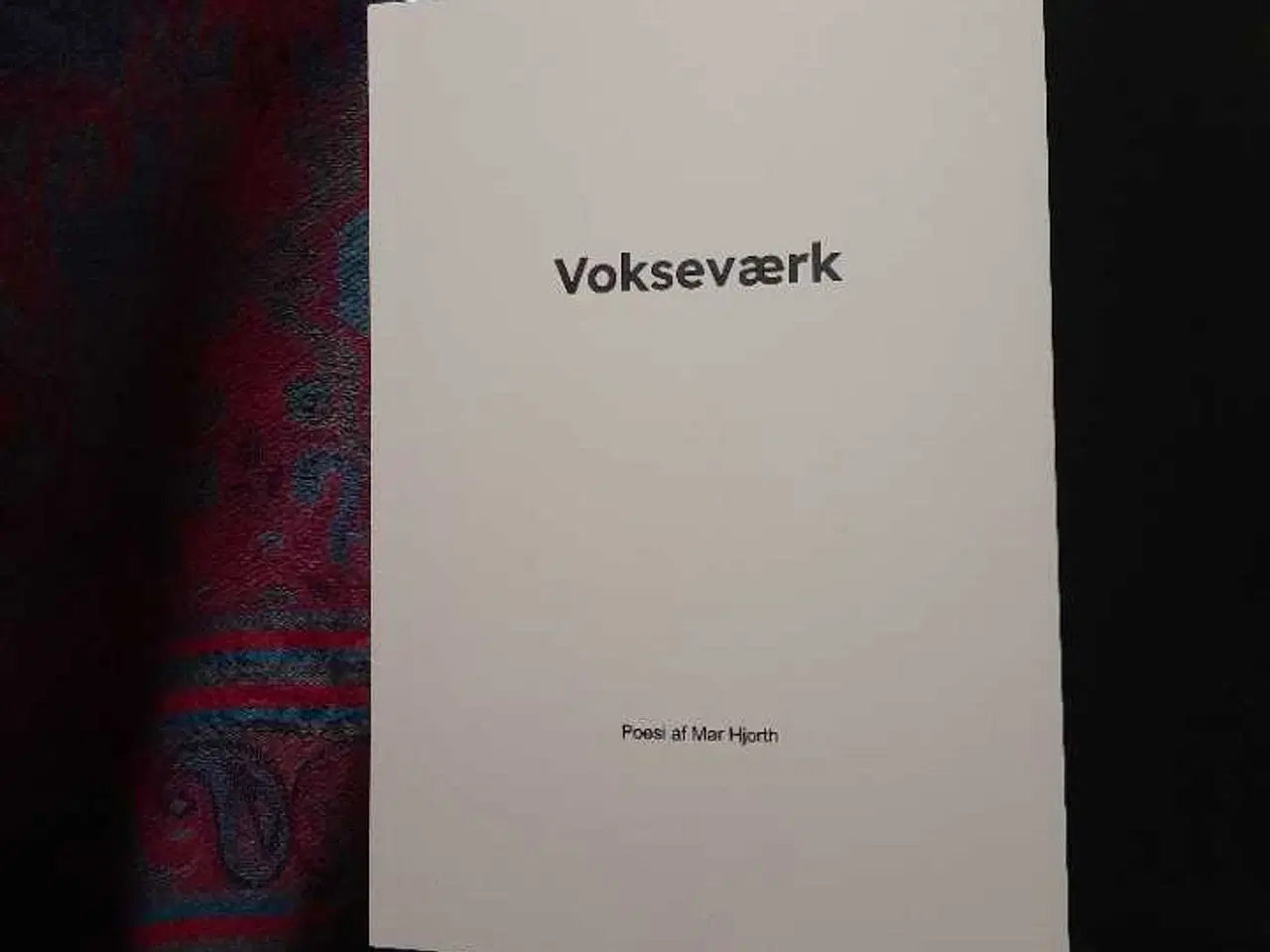 Billede 1 - Digt "vokseværk"