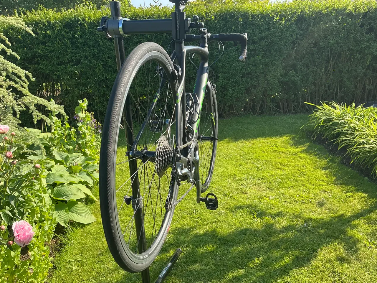 Billede 4 - Racercykel Herre 56cm SPECIALIZED