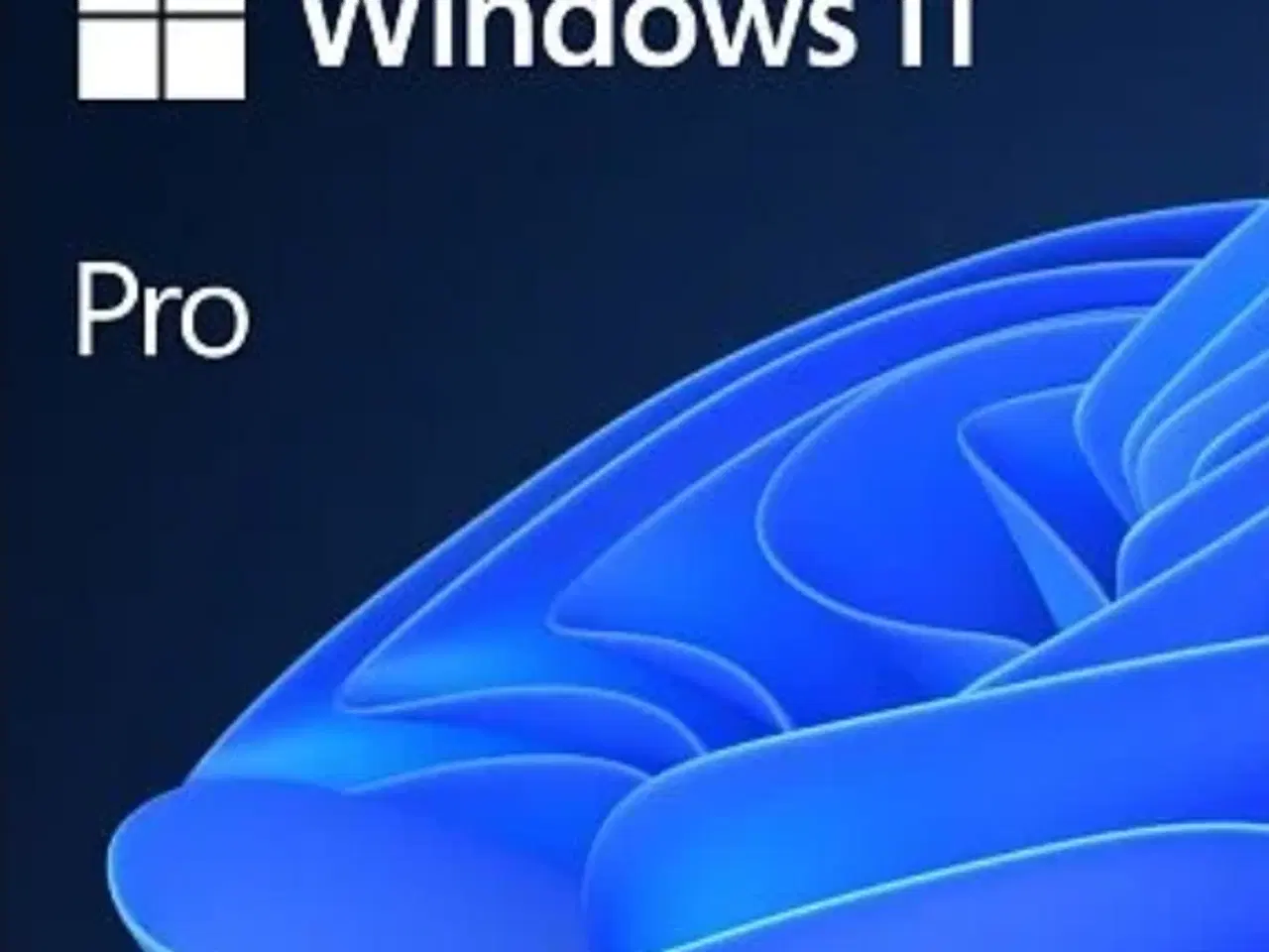 Billede 1 - Windows 11 Pro licensnøgle