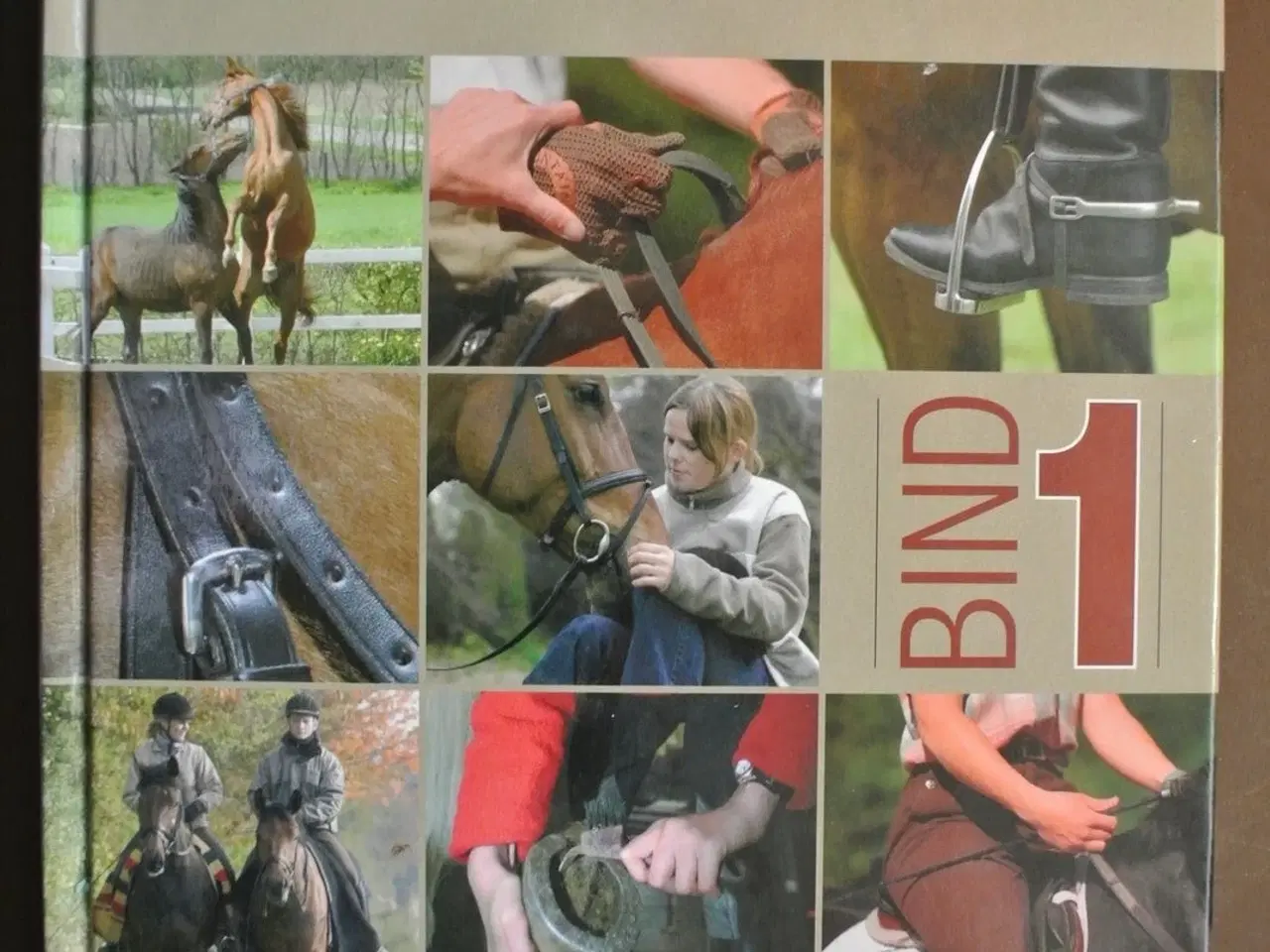 Billede 1 - den klassiske grunduddannele af rytter og hest bin