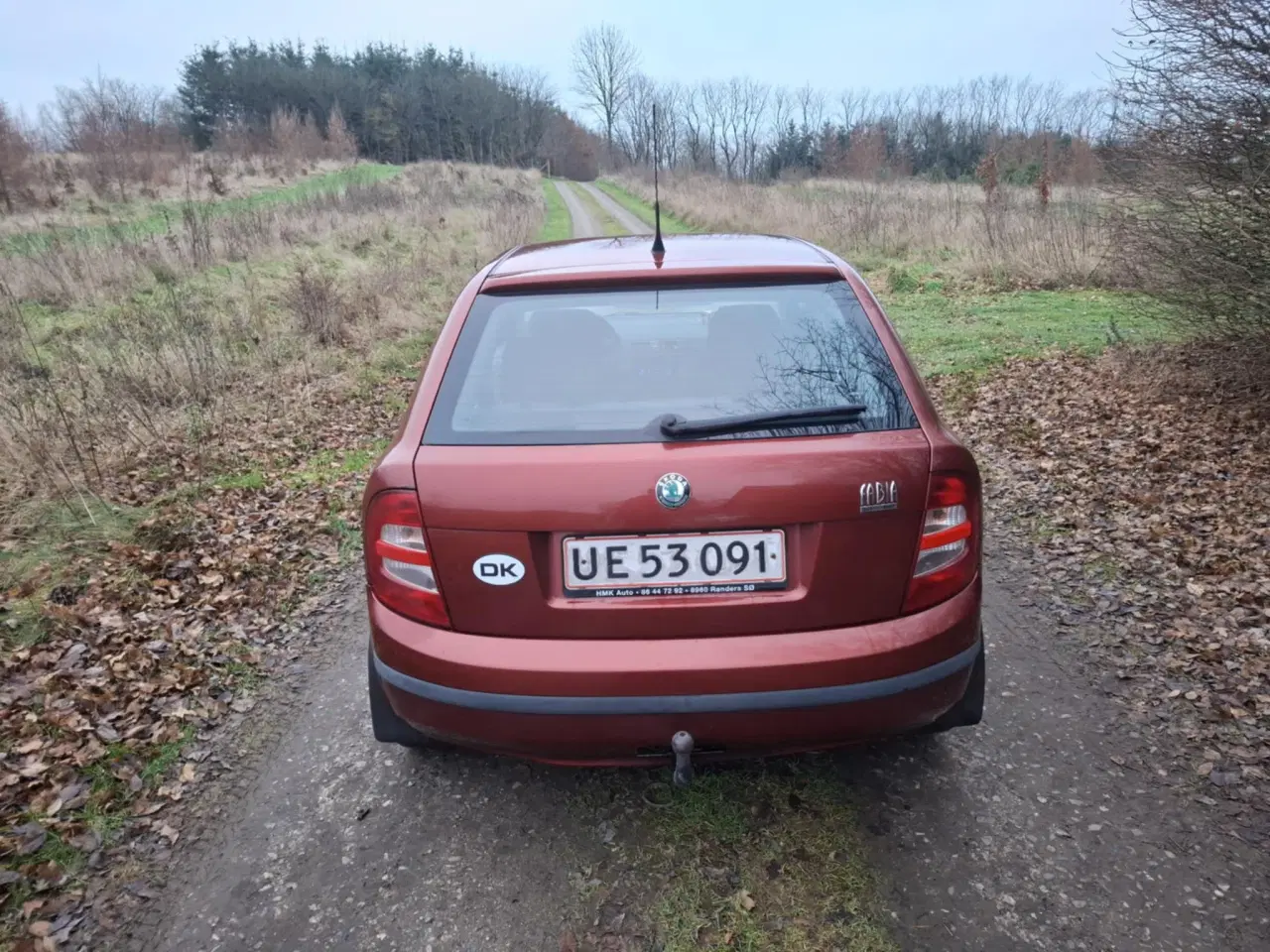 Billede 11 - Skoda fabia 