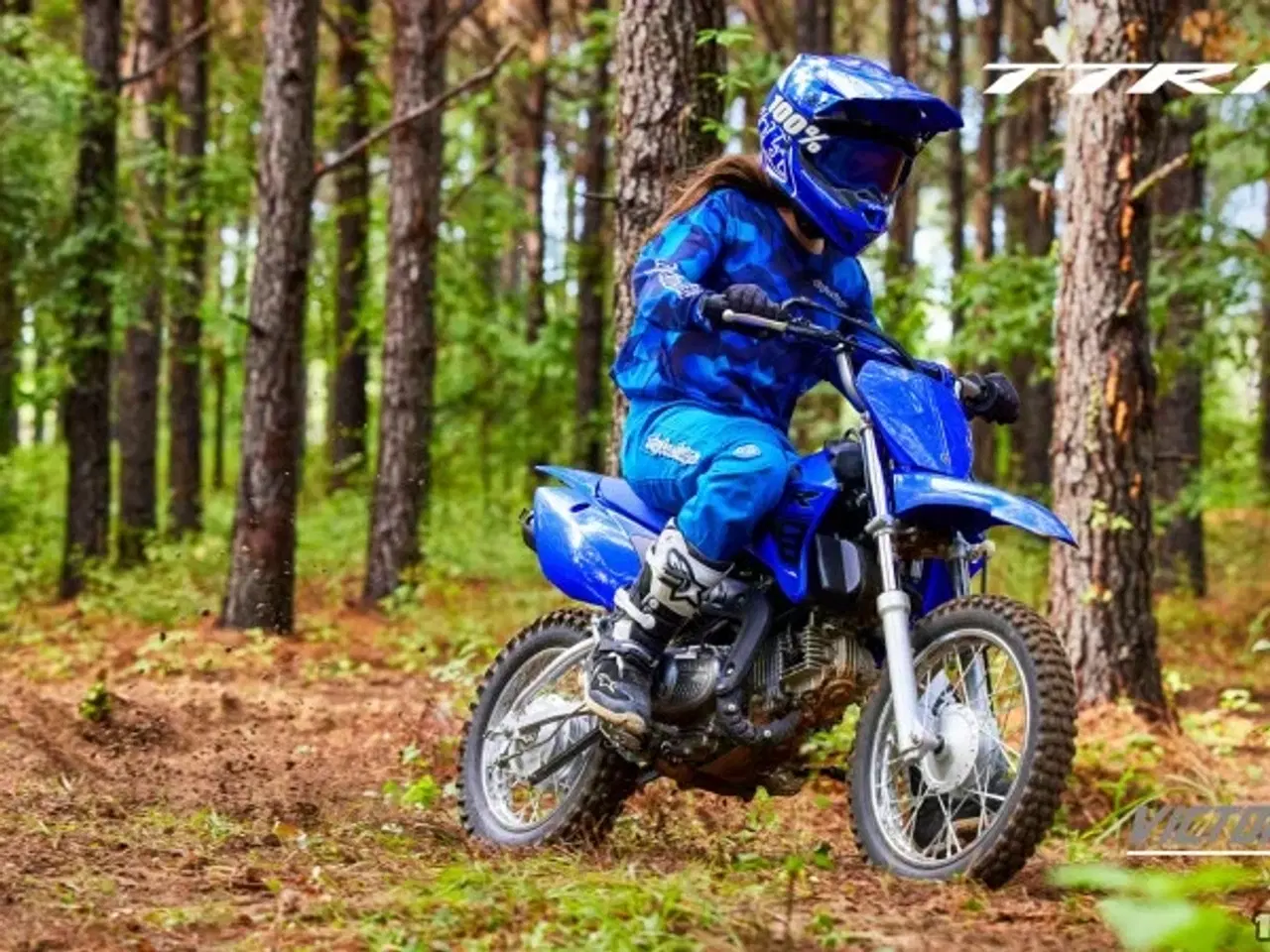 Billede 4 - Yamaha TTR 110