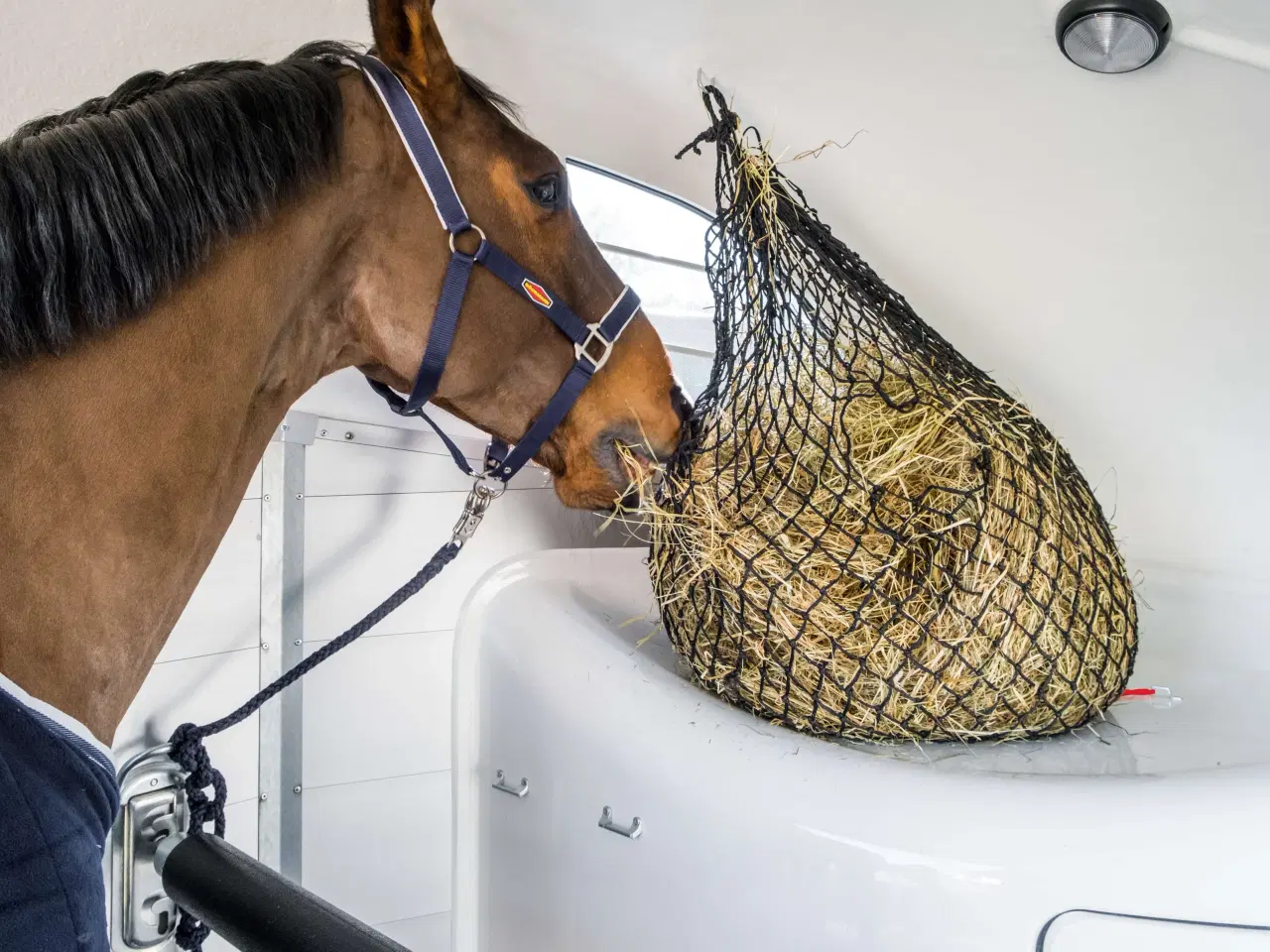 Billede 9 - Böckmann Portax Esprit 25 med udstyrspakke