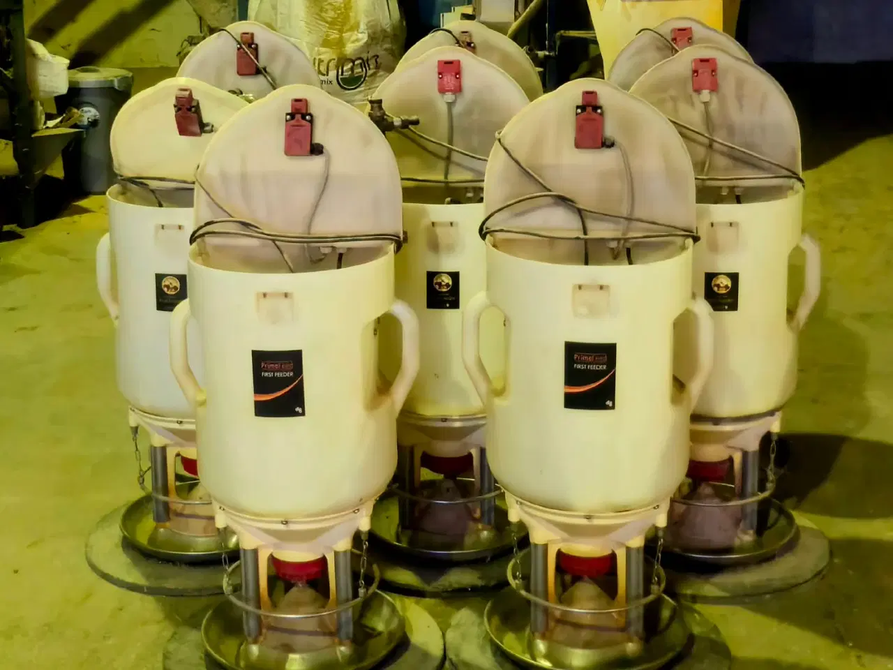 Billede 9 - DLG First Feeder