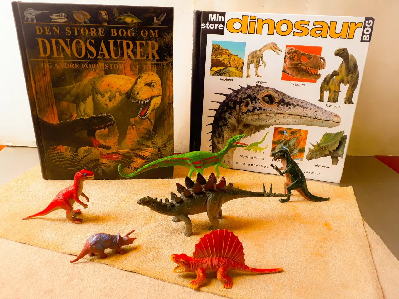 Billede 1 - 2 Dino Bøger, 6 Dinosaur