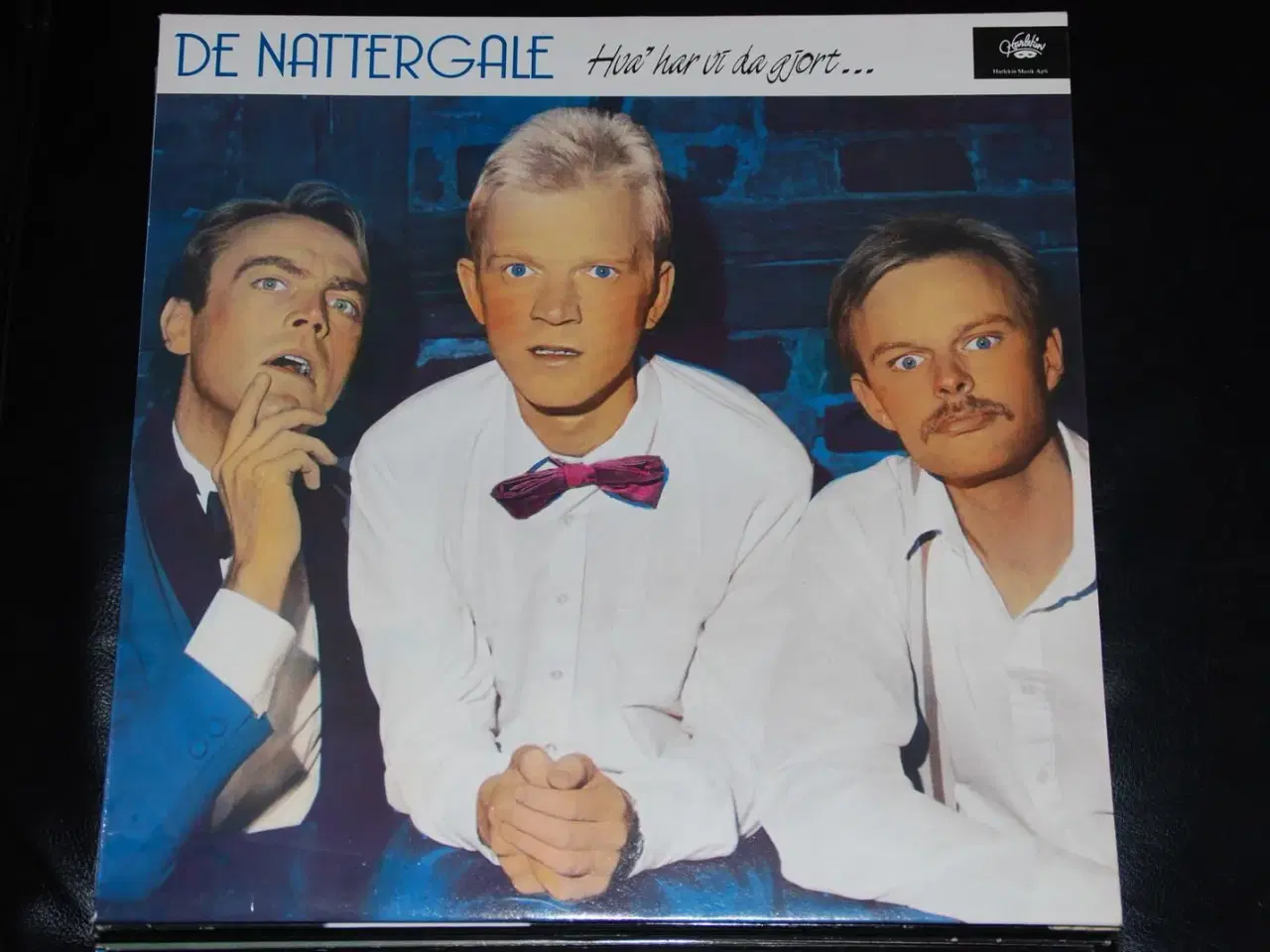 Billede 1 - De Natergale