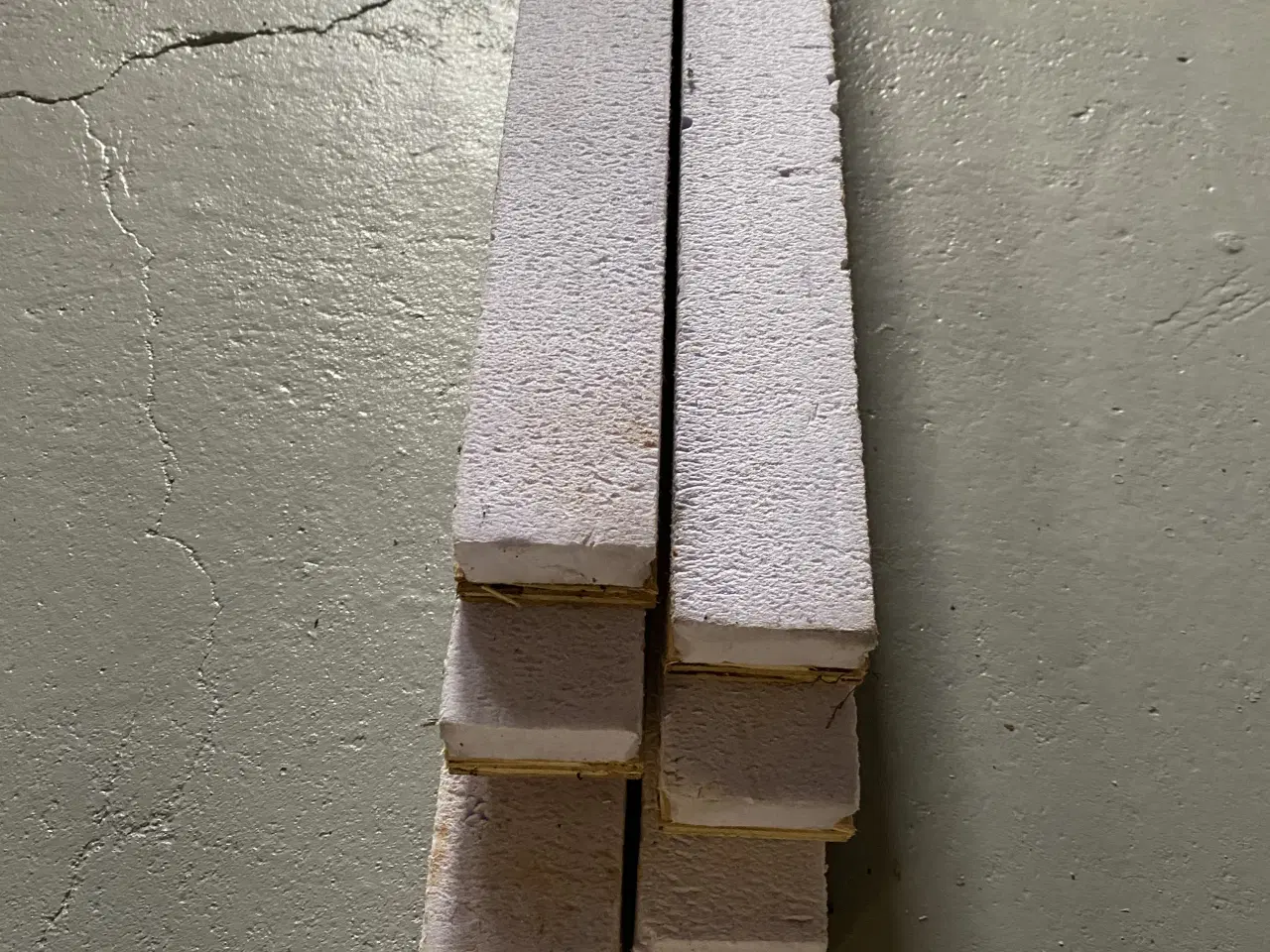 Billede 1 - Isoleringslægter Jackson 