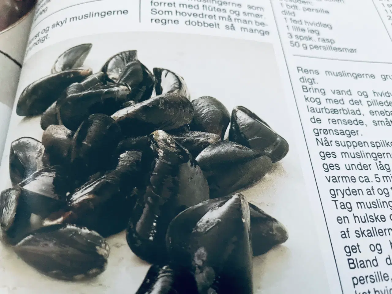 Billede 6 - Menu internationalt madleksikon - fisk og skaldyr 