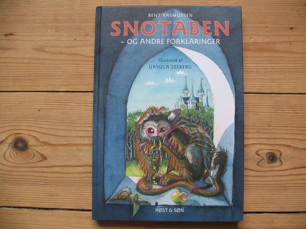 Billede 1 - Snotaben og andre forklaringer