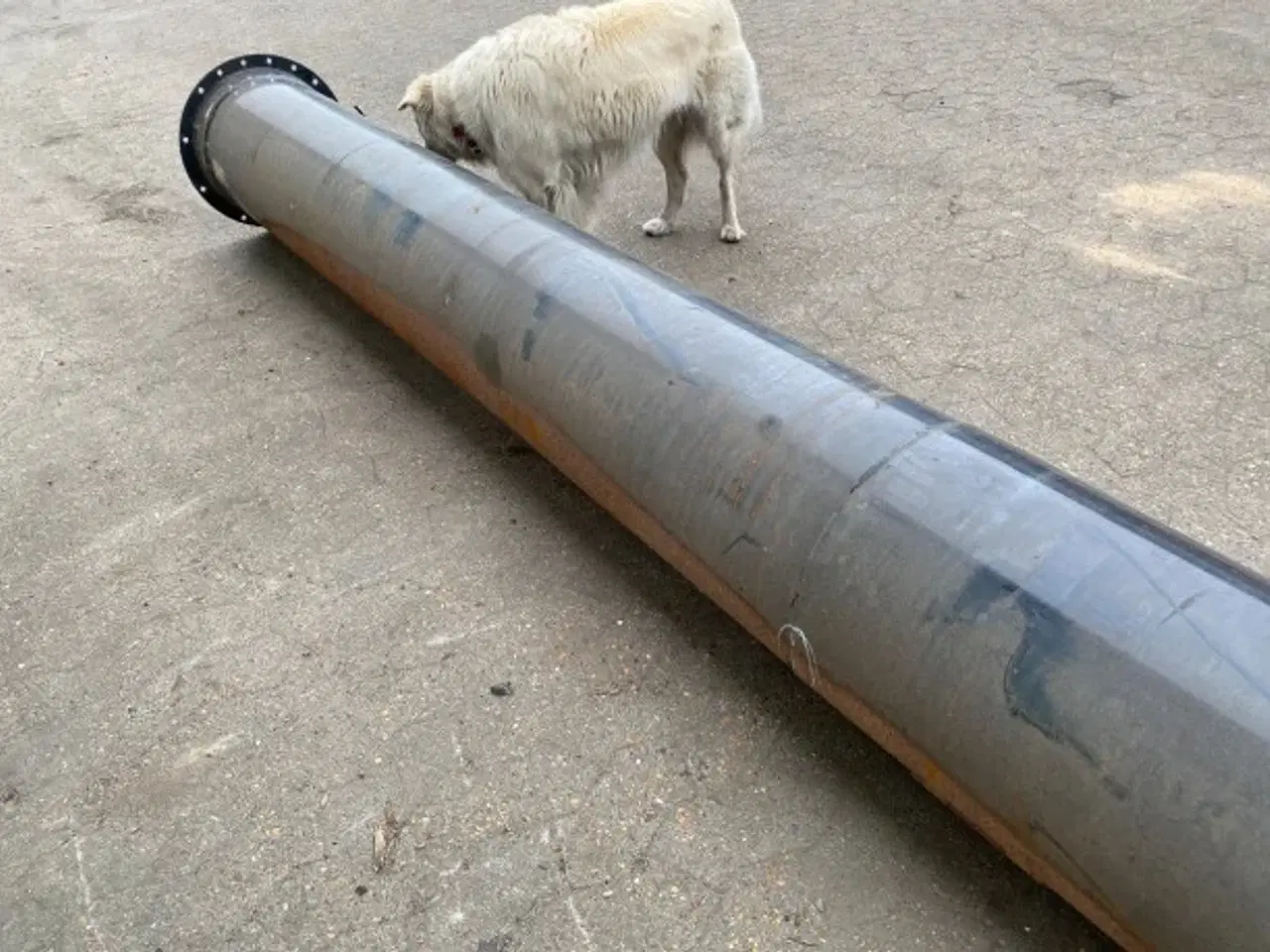 Billede 7 - New Holland CR9080 Tømmerør 87319609