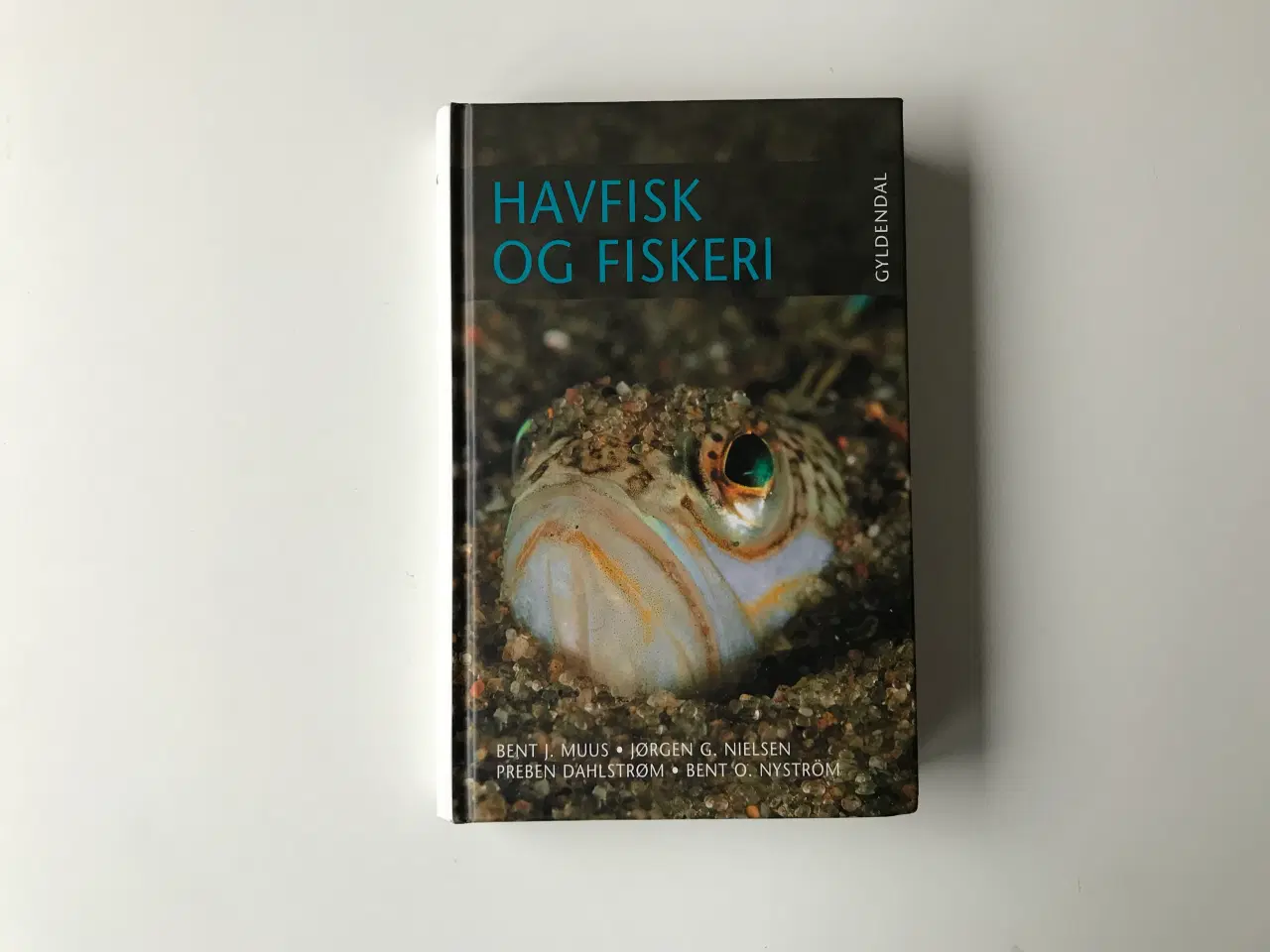 Billede 1 - Havfisk og Fiskeri i Nordvesteuropa