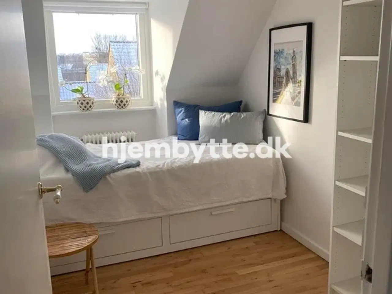 Billede 3 - Hjembytte - Agervang