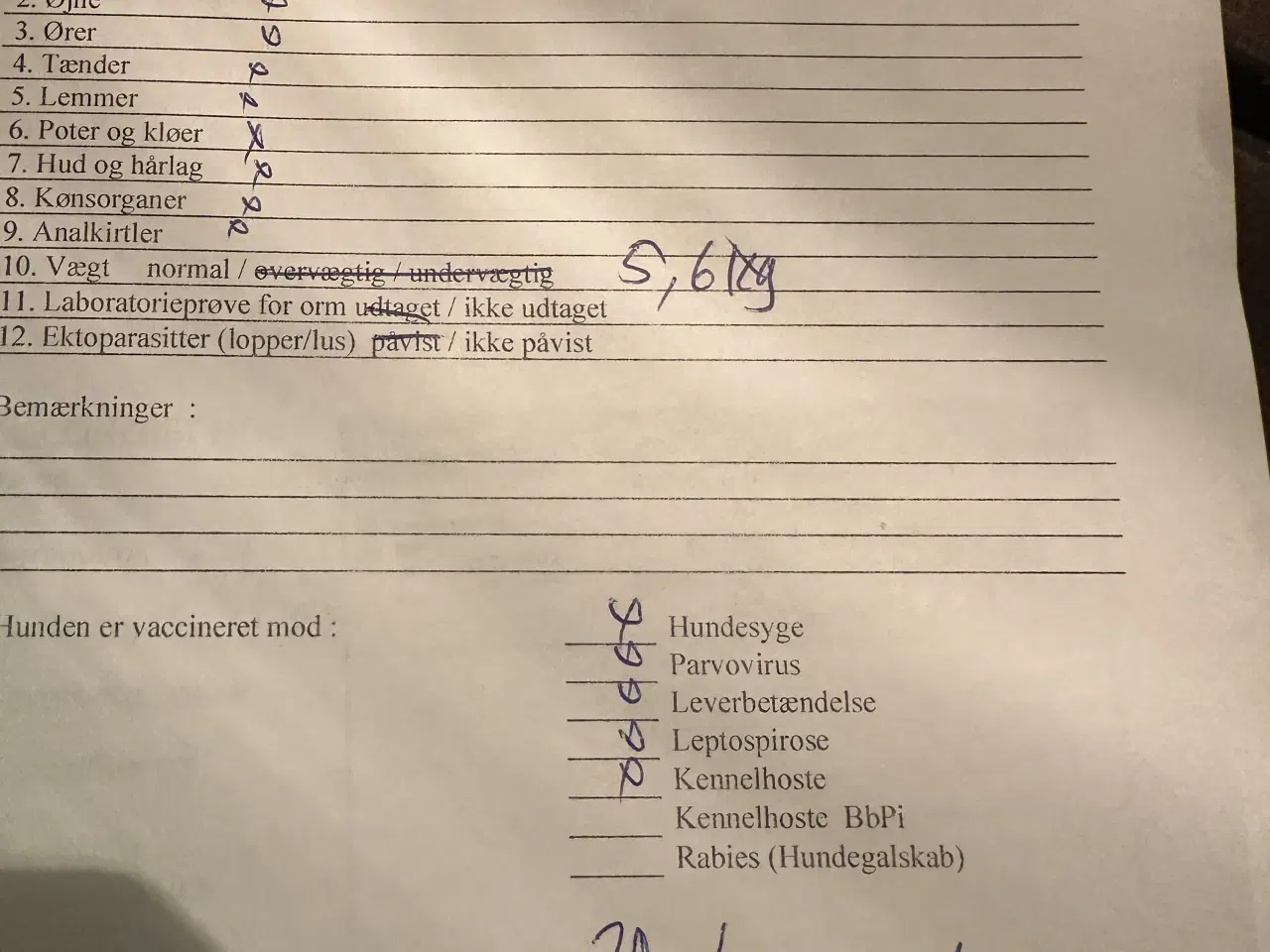 Billede 2 - Skønne Freja