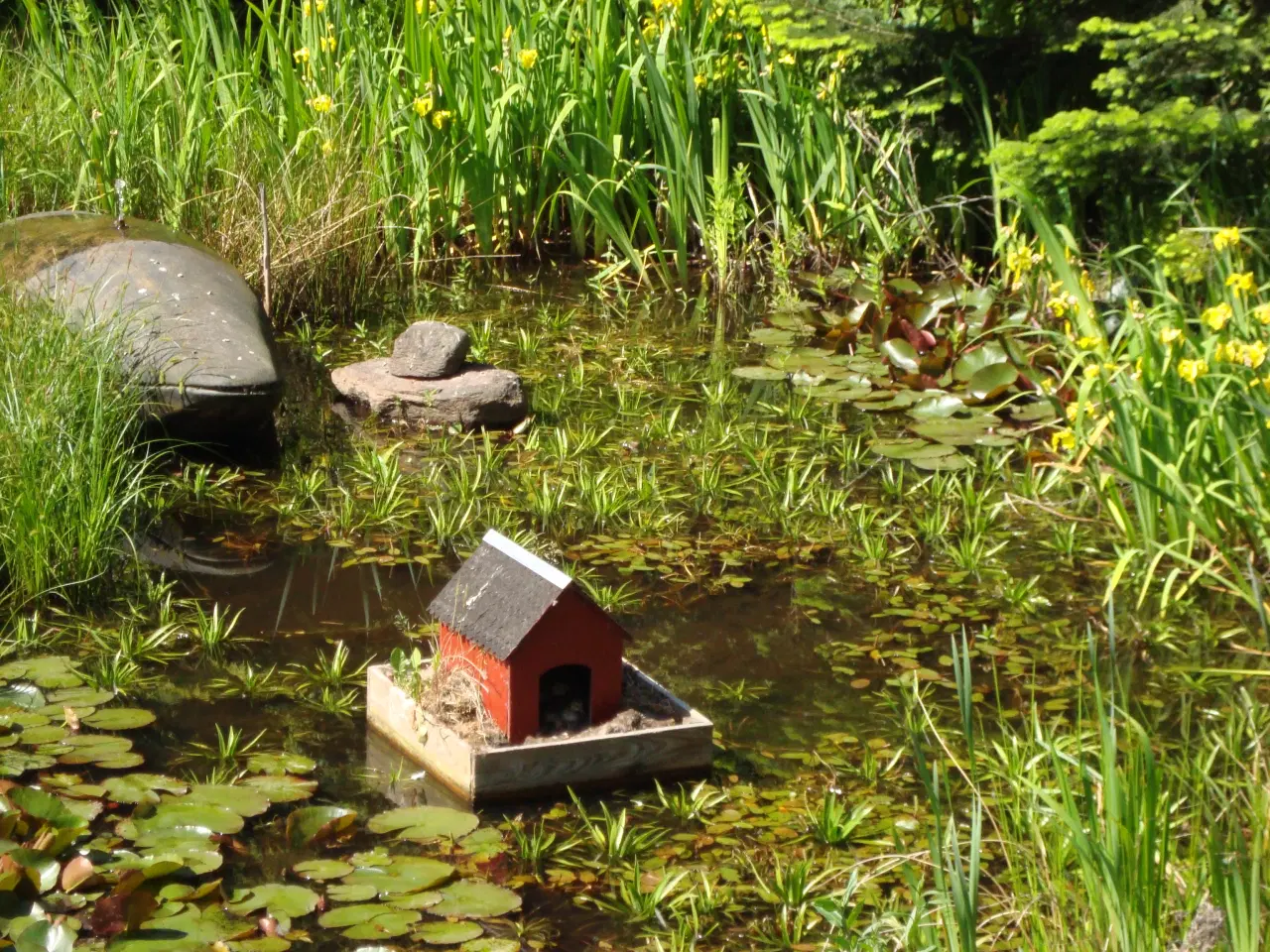 Billede 8 - Erhvervsejendom med boliger direkte tik A 8 