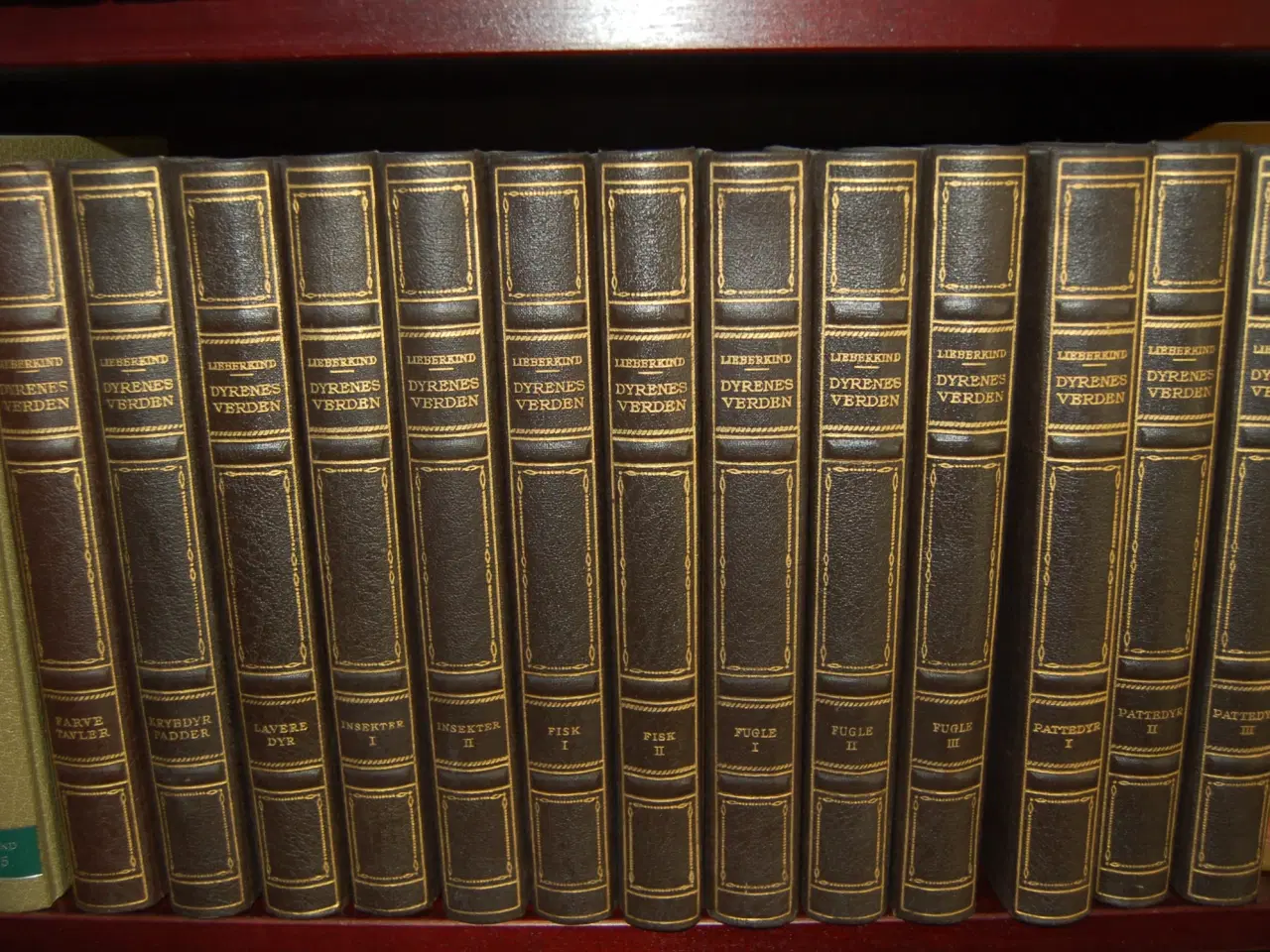 Billede 3 - Ingvard Lierkind