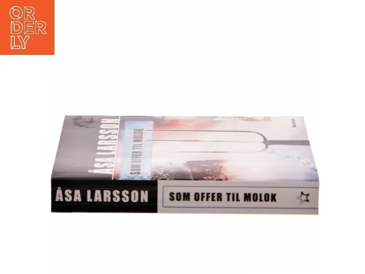 Billede 2 - Som Offer Til Molok af Åsa Larsson (Bog)