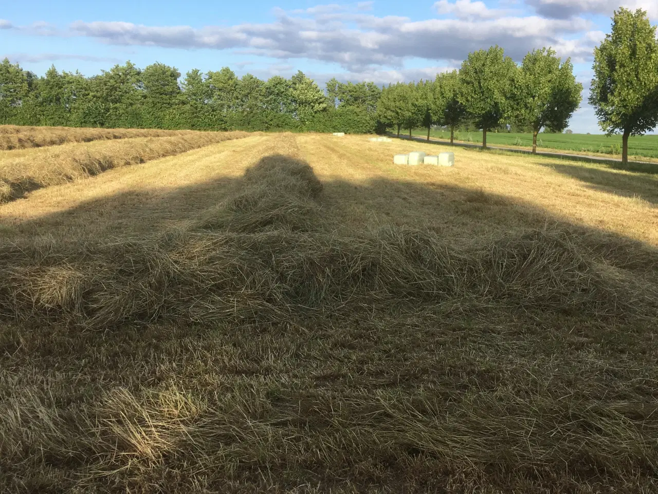 Billede 1 - Prima Wrap velegnet til heste