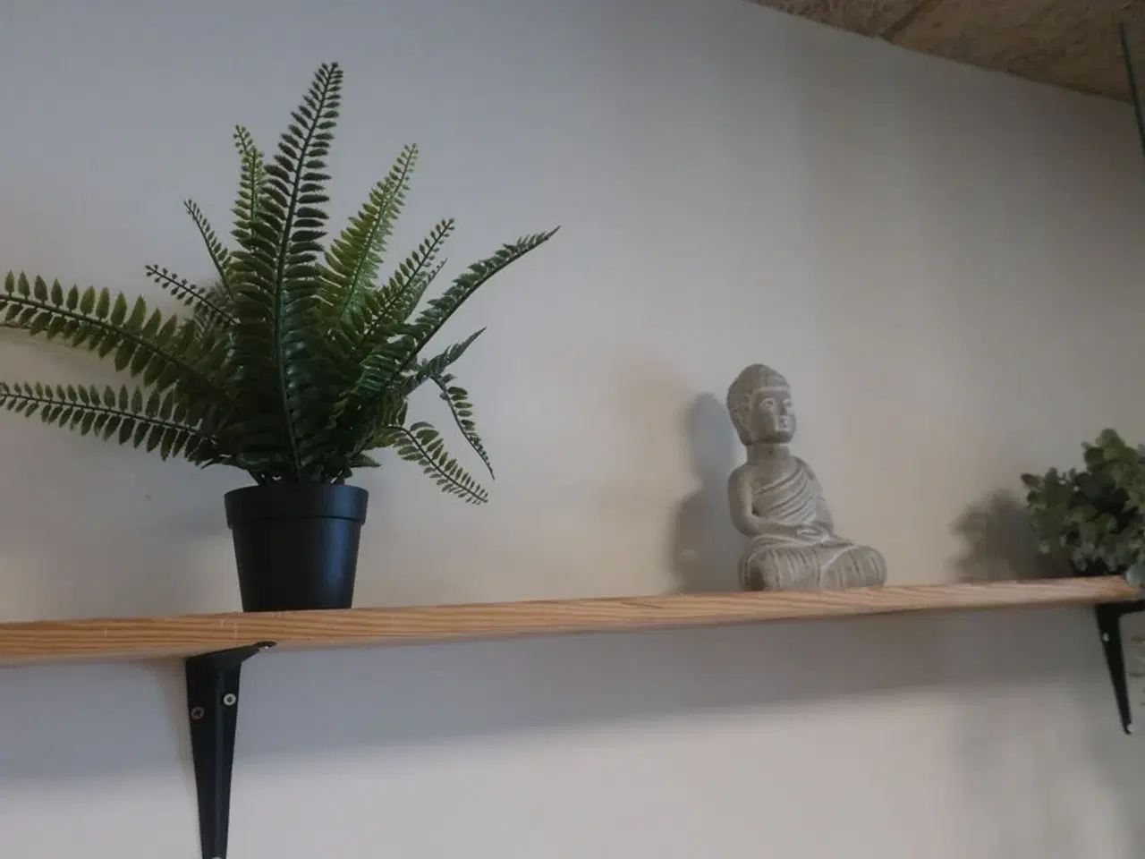 Billede 6 - Reol med indhold / hylder med indhold / plante m.m.