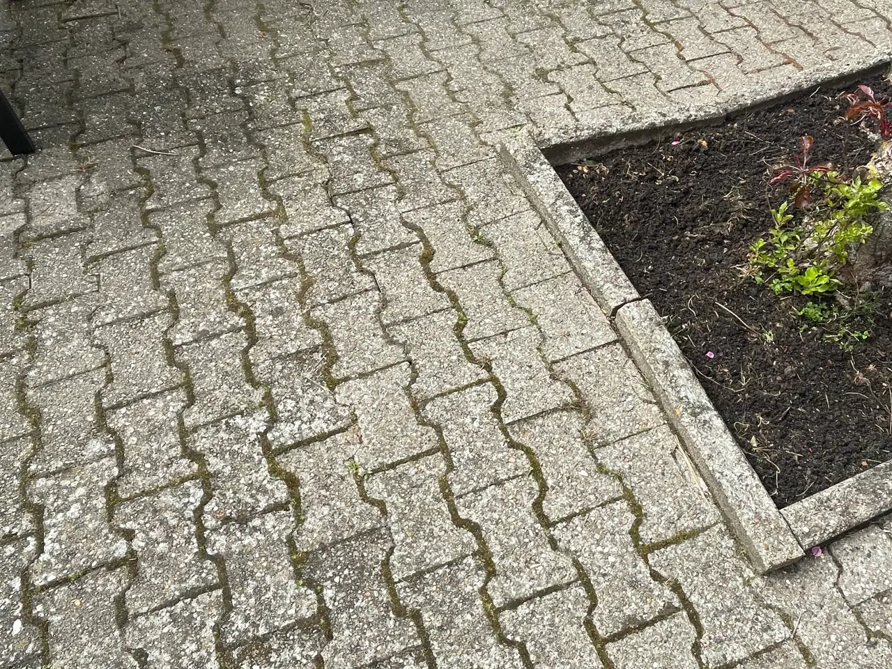 Billede 4 - GRATIS FLISER GIVES BORT
