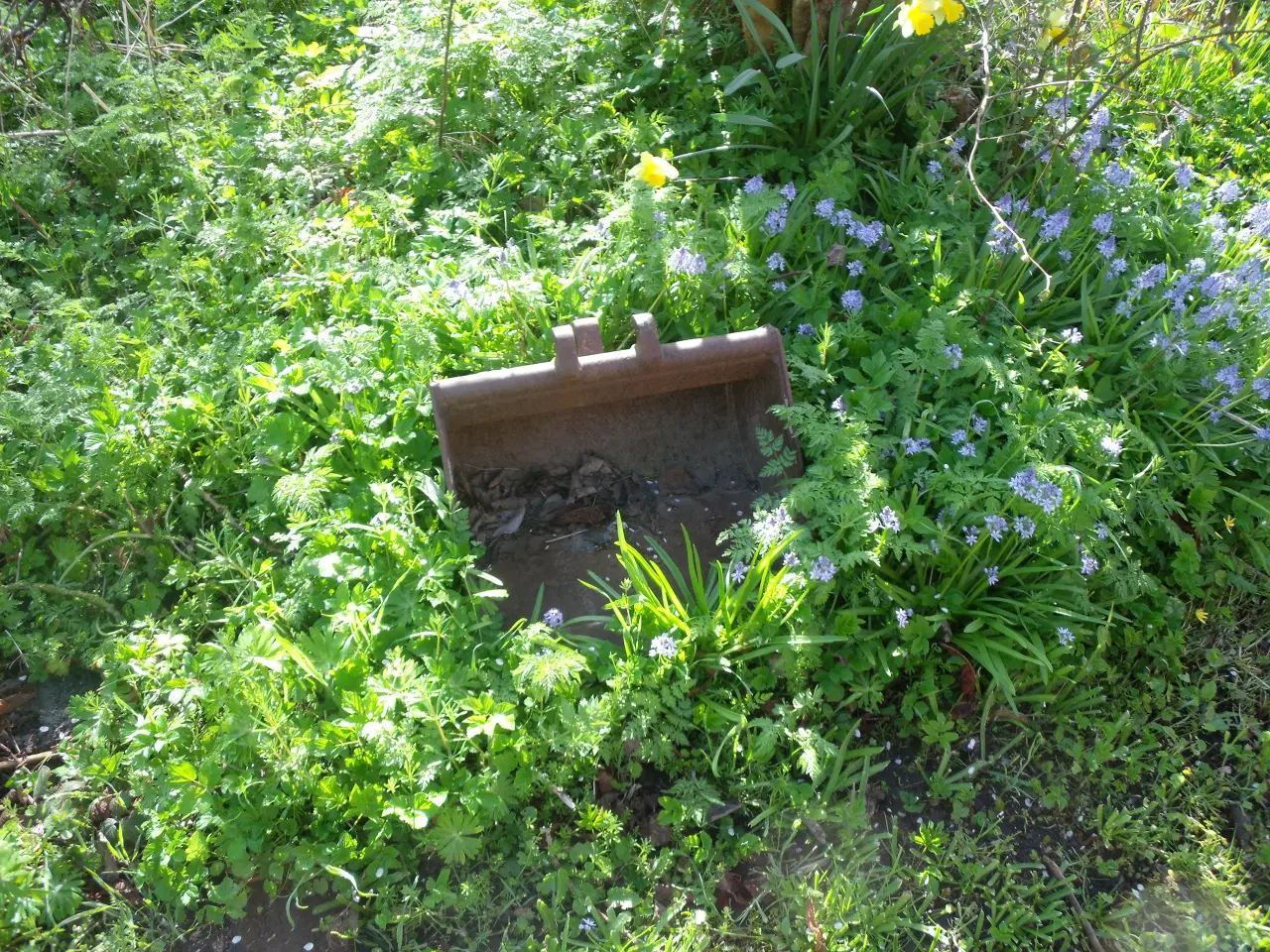 Billede 4 - Yanmar VIO 10-2A