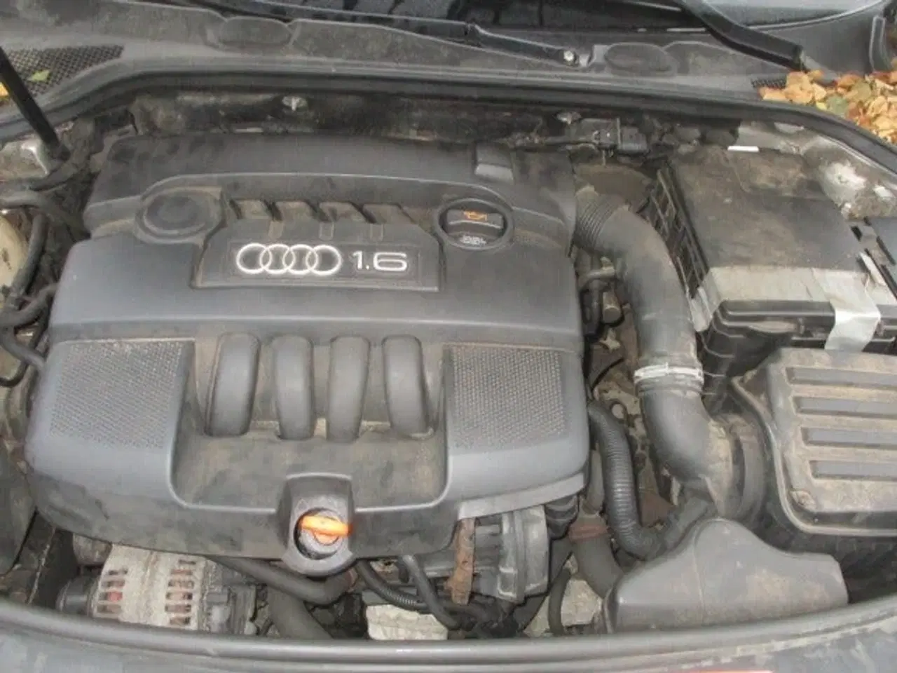 Billede 10 - Audi A3 1,6 Ambition Sportback