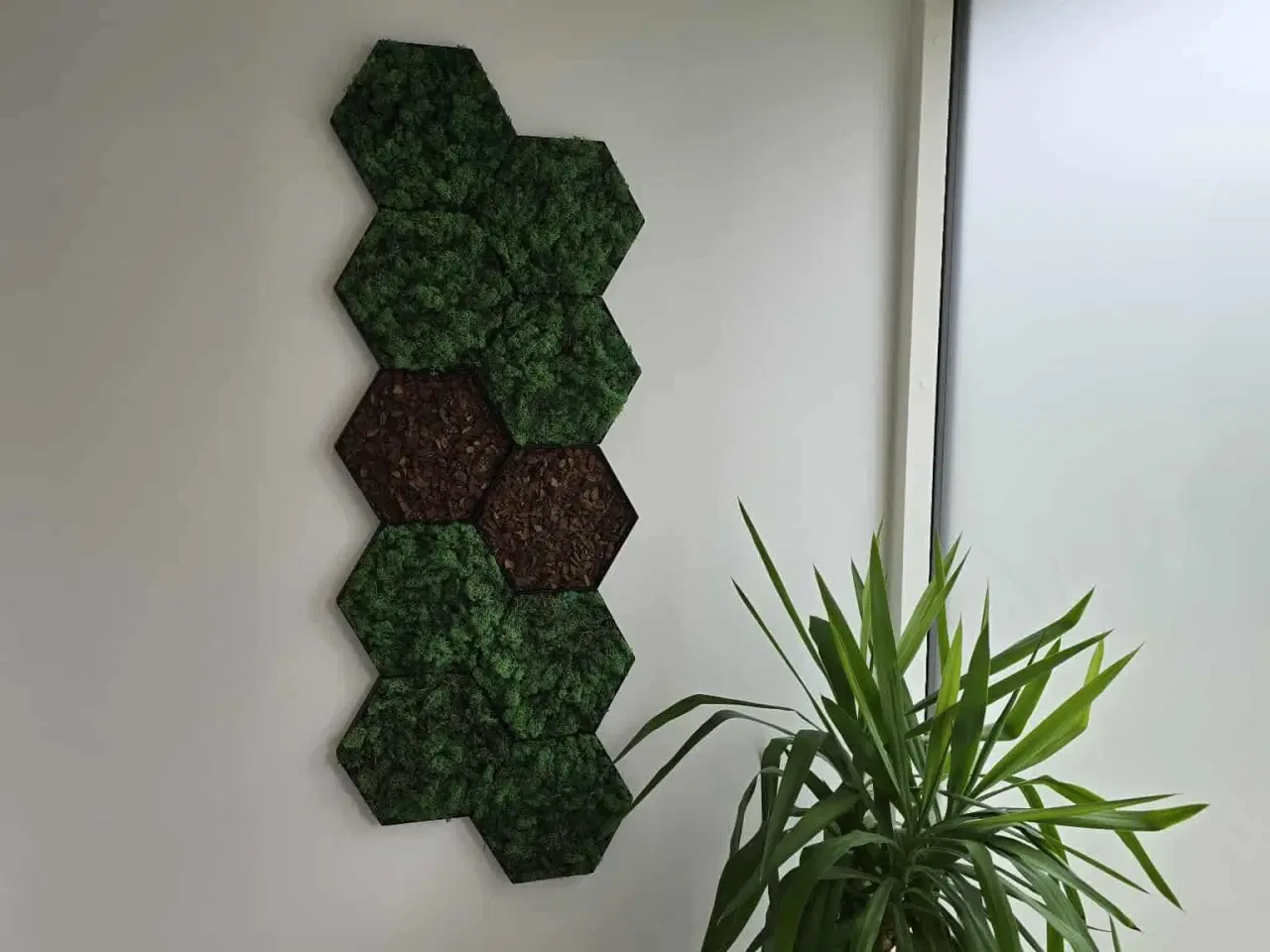 Billede 19 - Mos billeder 