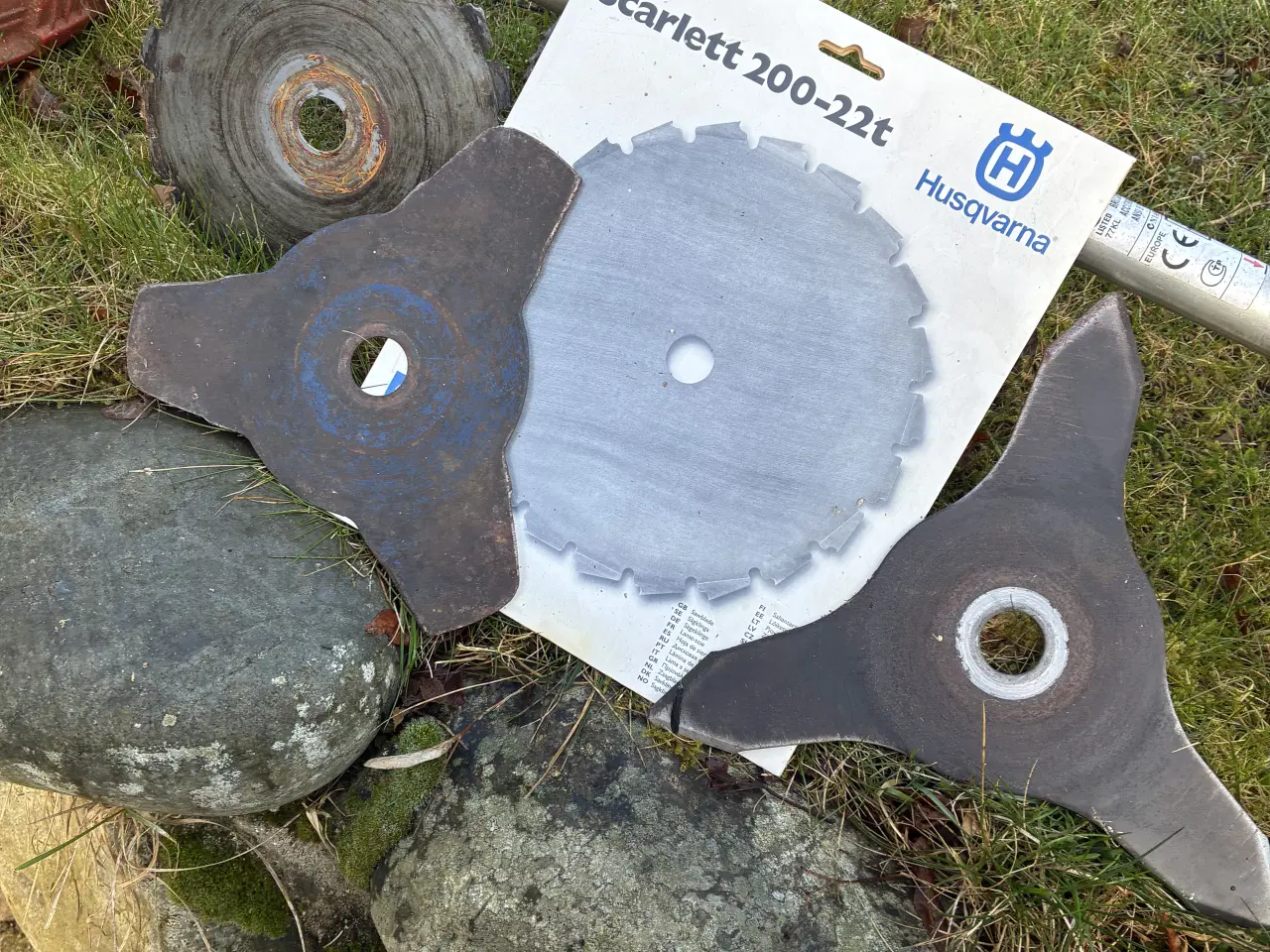 Billede 3 - Johnsered buskrydder