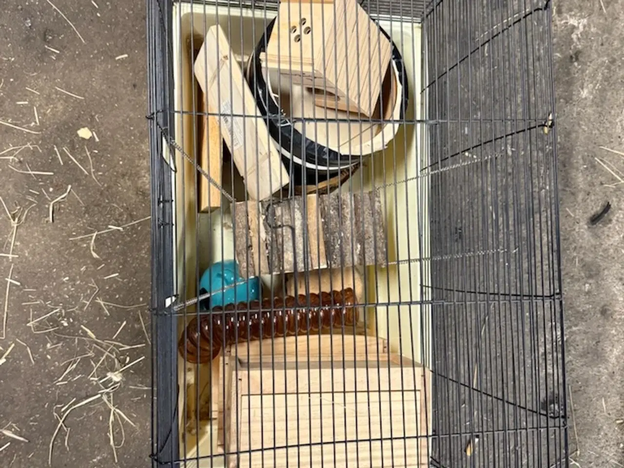 Billede 2 - Marsvin/hamster bur