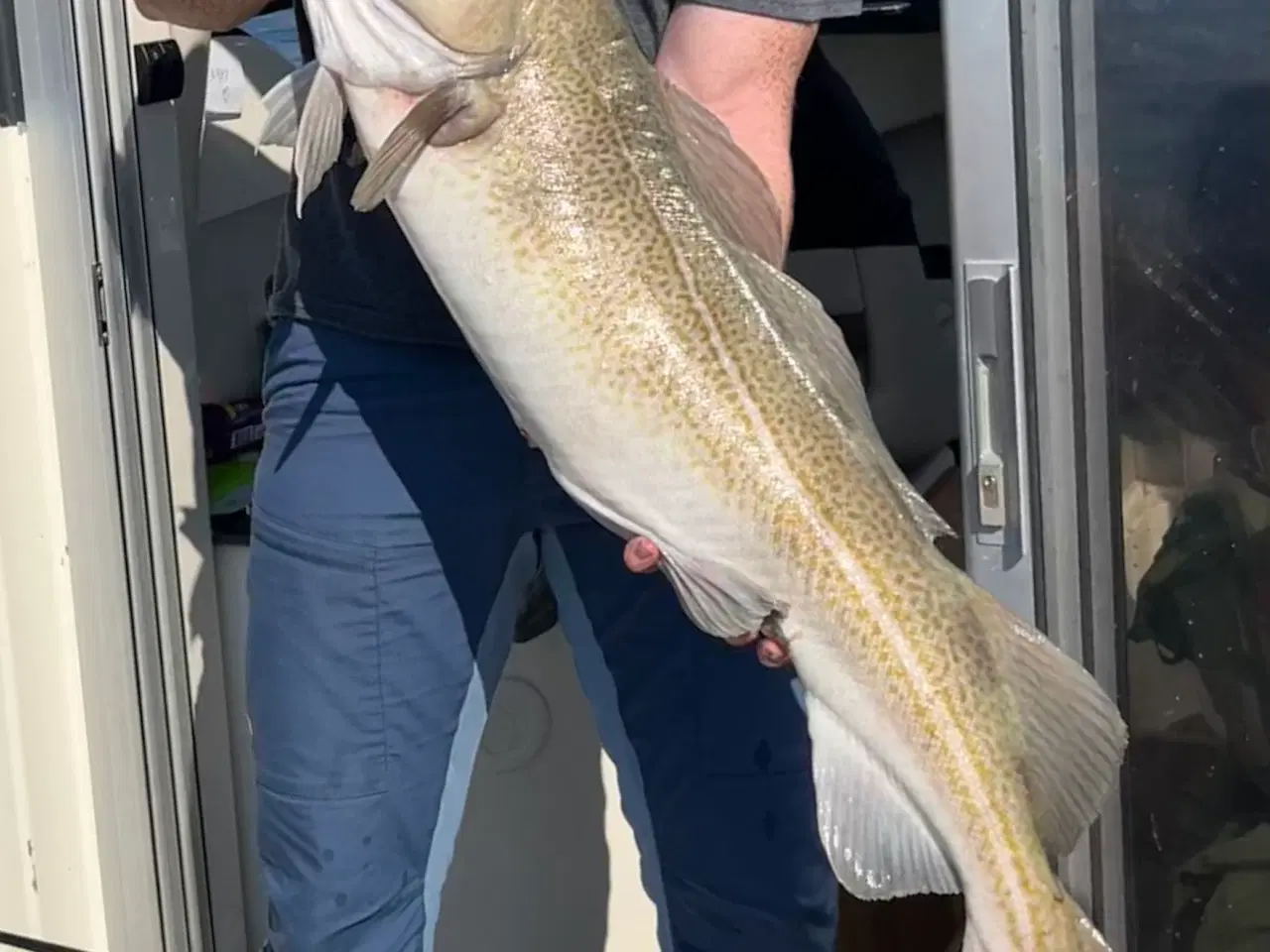 Billede 12 - QuickSilver 755 Pilothouse 275HK 