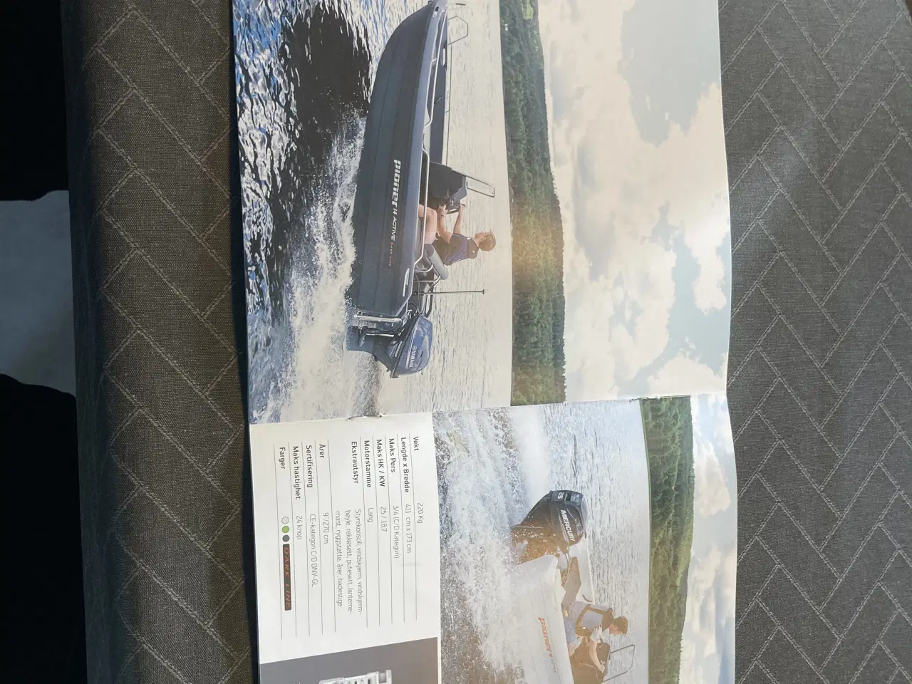 Billede 6 - Pioner 14 