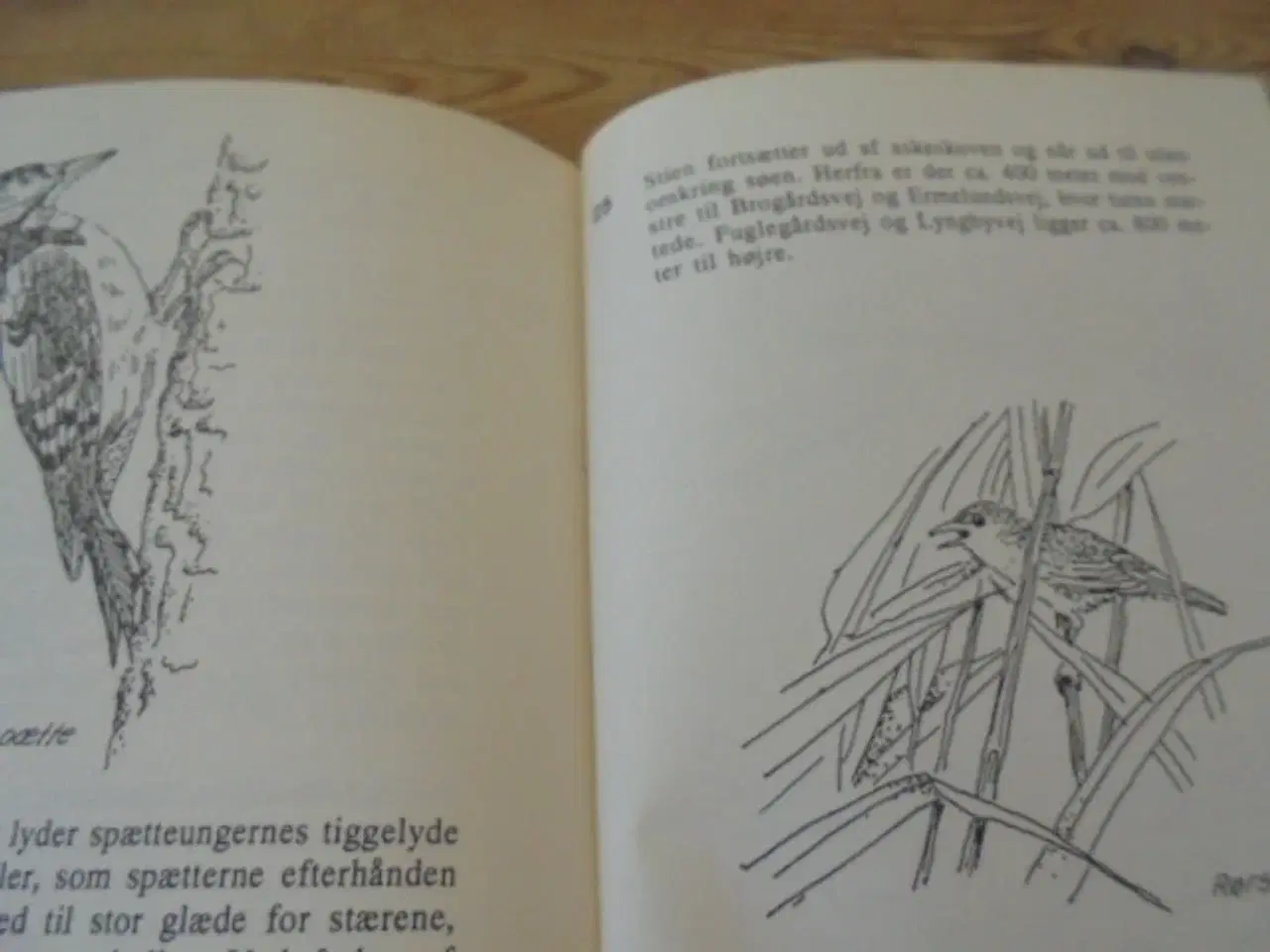 Billede 4 - RUNDT OM GENTOFTE SØ – Se fotos og omtale