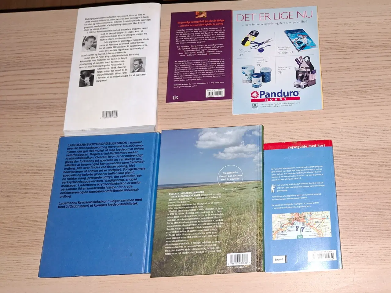 Billede 2 - Krydsords leksikon