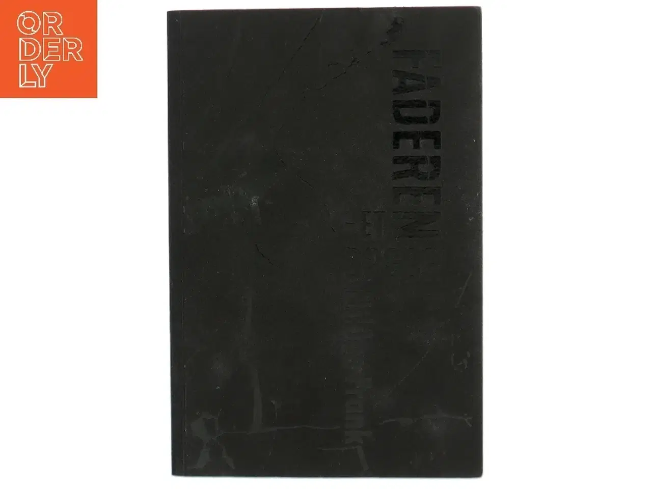 Billede 1 - 'Faderen - Et opgør' af Niklas Frank