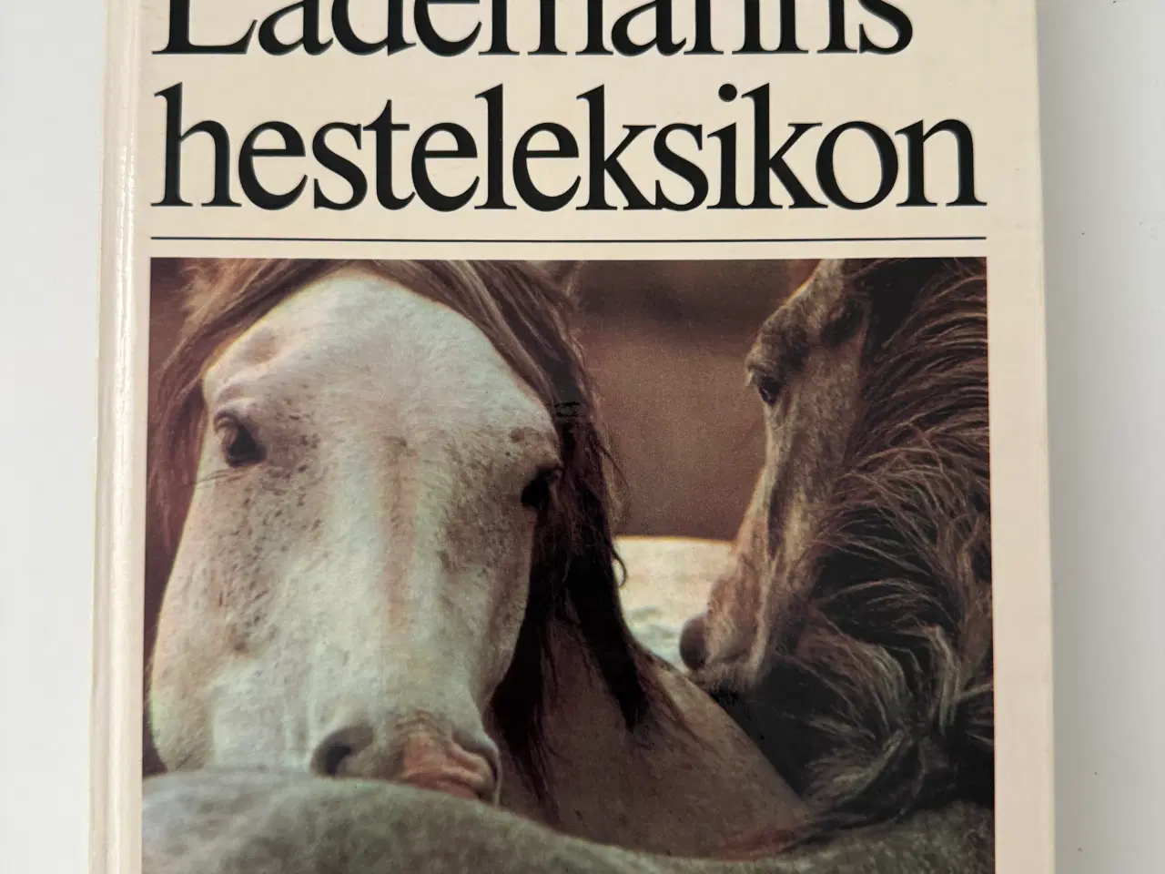 Billede 1 - Lademanns Hesteleksikon - Ridehåndbog